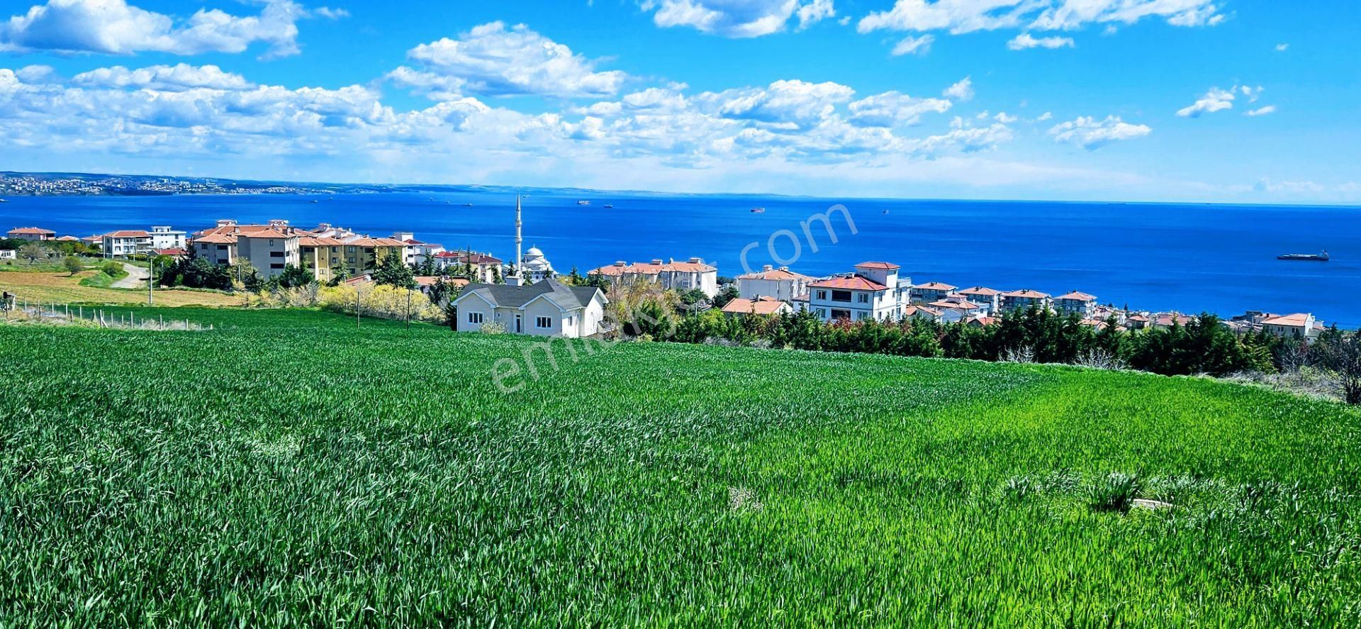 Tamamen Full Deniz Doğa Ve Şehir Manzaralı 44 Dairelik Kooparetif Ve Site Projesine Uygun Arsa - Görsel 9