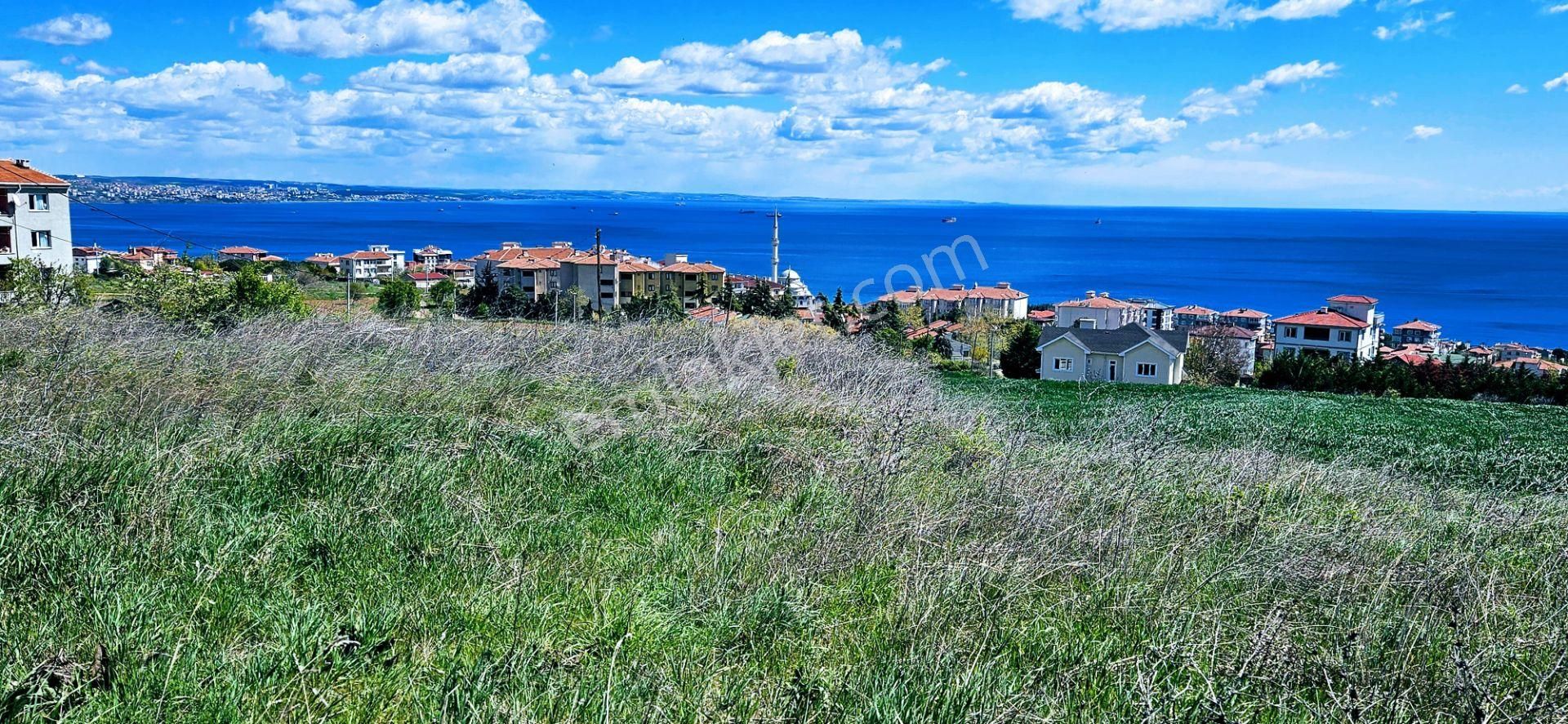 Tamamen Full Deniz Doğa Ve Şehir Manzaralı 44 Dairelik Kooparetif Ve Site Projesine Uygun Arsa - Görsel 18