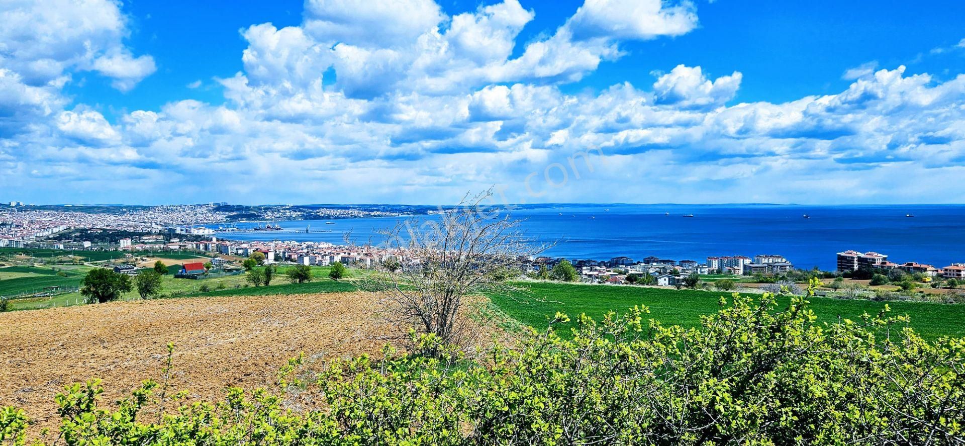 Tamamen Full Deniz Doğa Ve Şehir Manzaralı 44 Dairelik Kooparetif Ve Site Projesine Uygun Arsa - Görsel 27