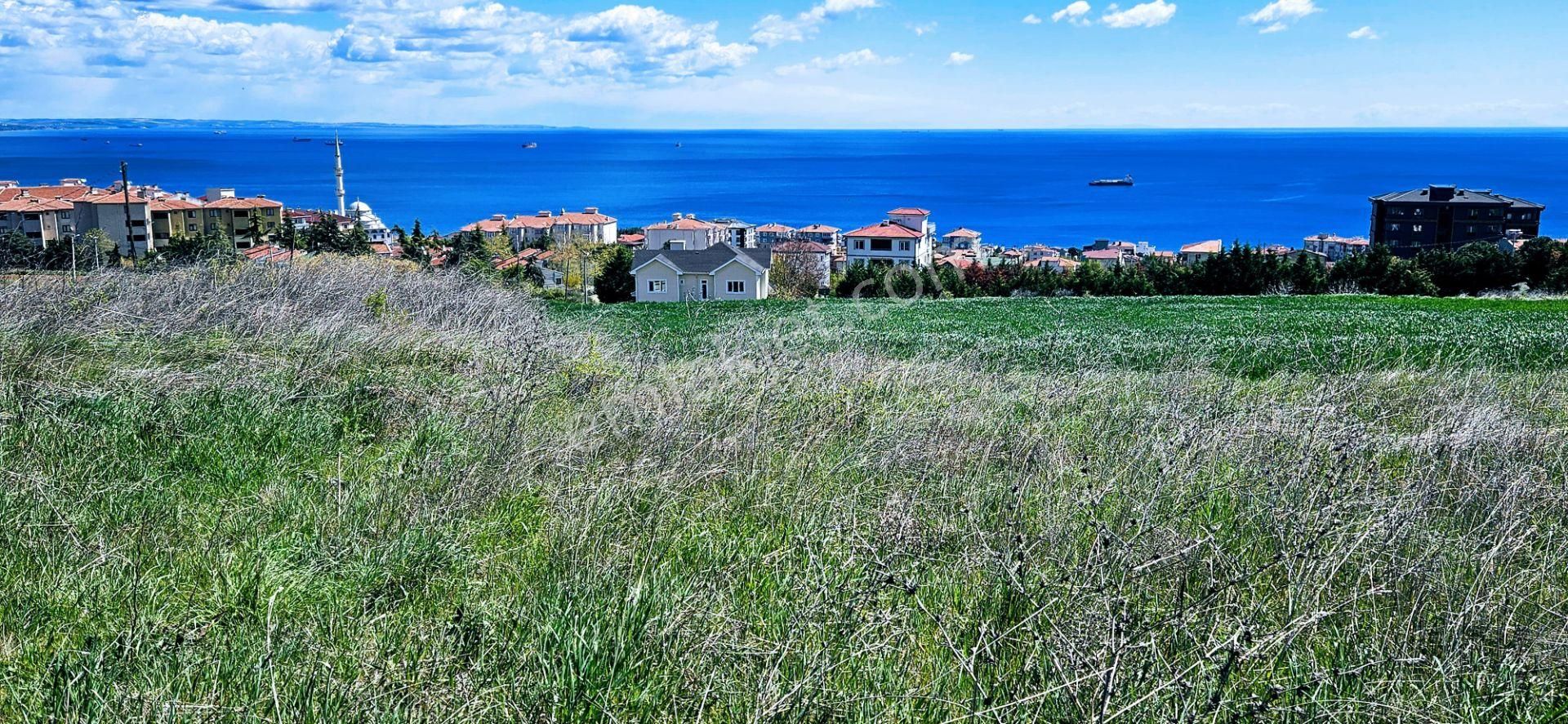 Tamamen Full Deniz Doğa Ve Şehir Manzaralı 44 Dairelik Kooparetif Ve Site Projesine Uygun Arsa - Görsel 6