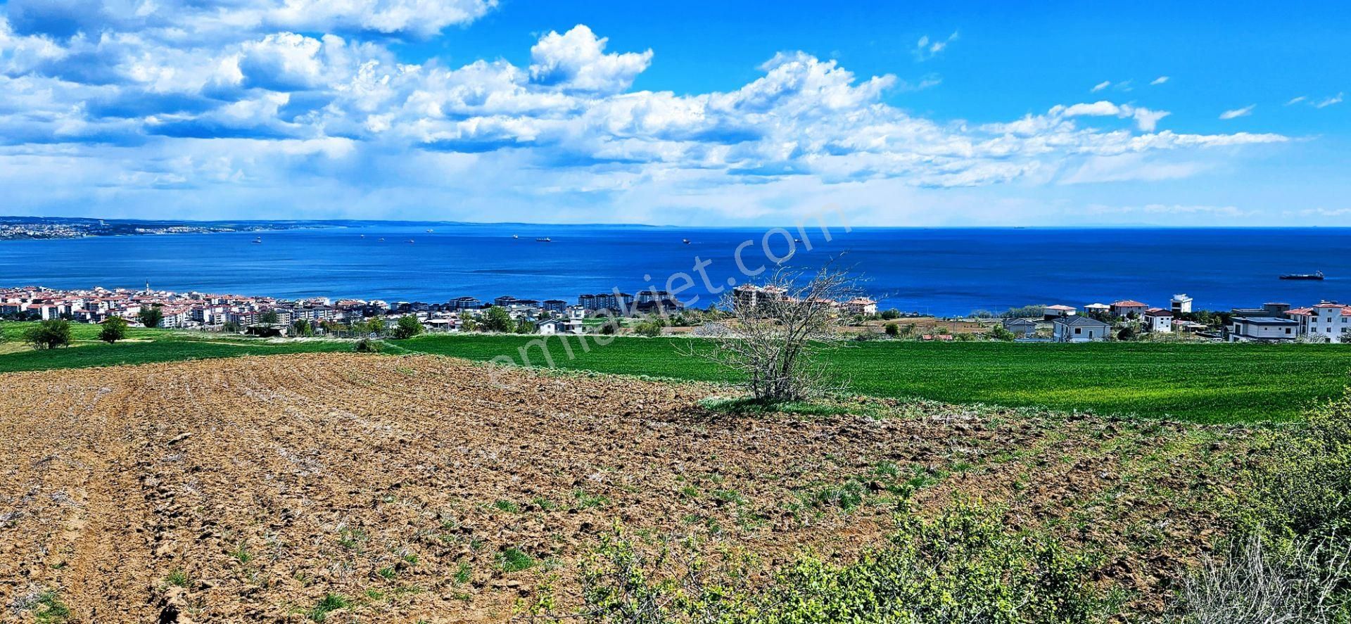 Tamamen Full Deniz Doğa Ve Şehir Manzaralı 44 Dairelik Kooparetif Ve Site Projesine Uygun Arsa - Görsel 4