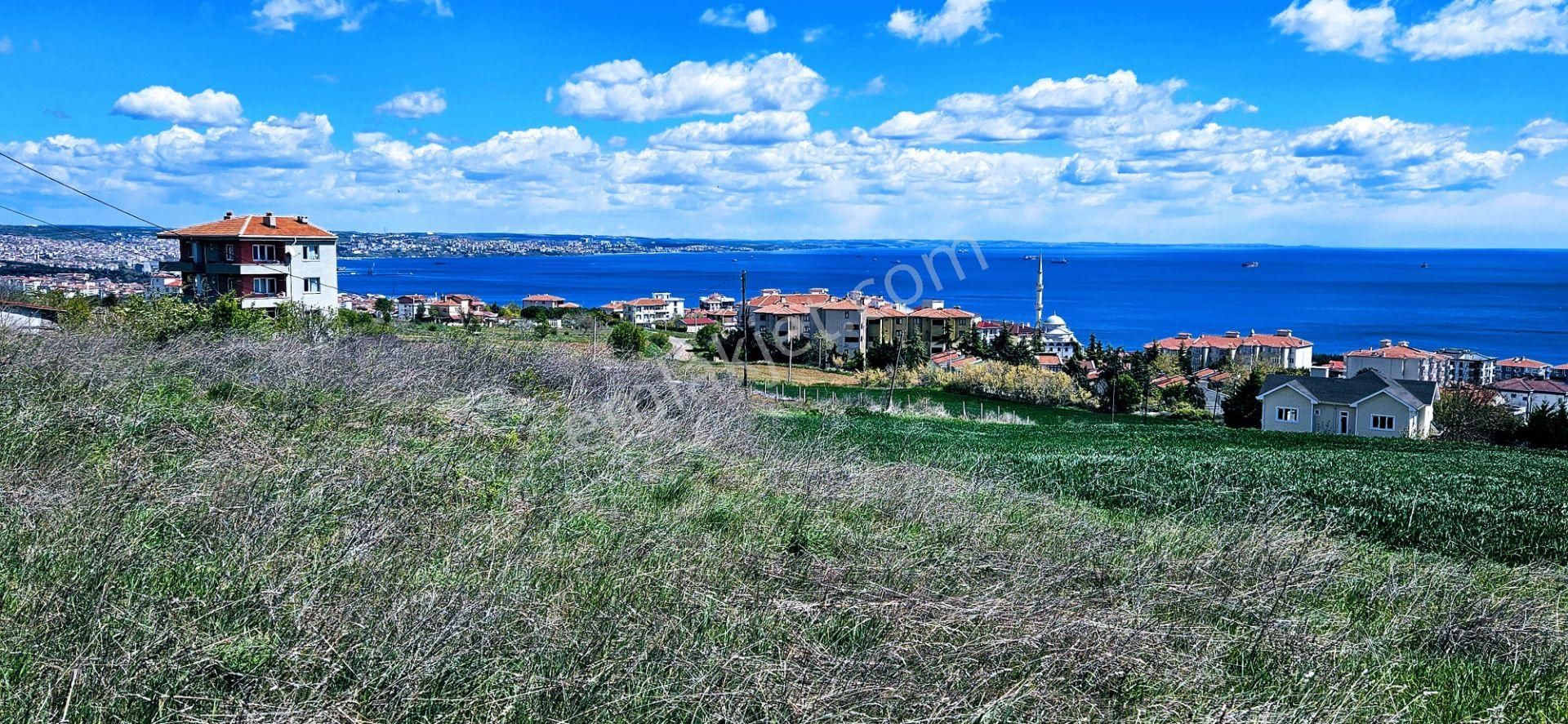 Tamamen Full Deniz Doğa Ve Şehir Manzaralı 44 Dairelik Kooparetif Ve Site Projesine Uygun Arsa - Görsel 16