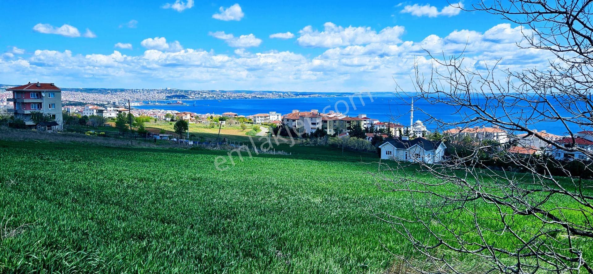 Tamamen Full Deniz Doğa Ve Şehir Manzaralı 44 Dairelik Kooparetif Ve Site Projesine Uygun Arsa - Görsel 22