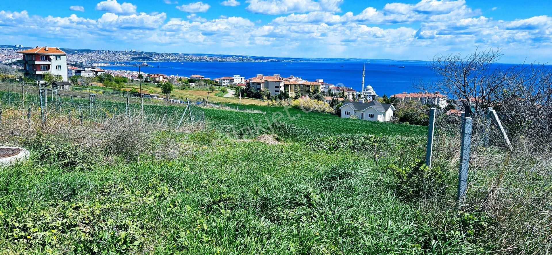 Tamamen Full Deniz Doğa Ve Şehir Manzaralı 44 Dairelik Kooparetif Ve Site Projesine Uygun Arsa - Görsel 21