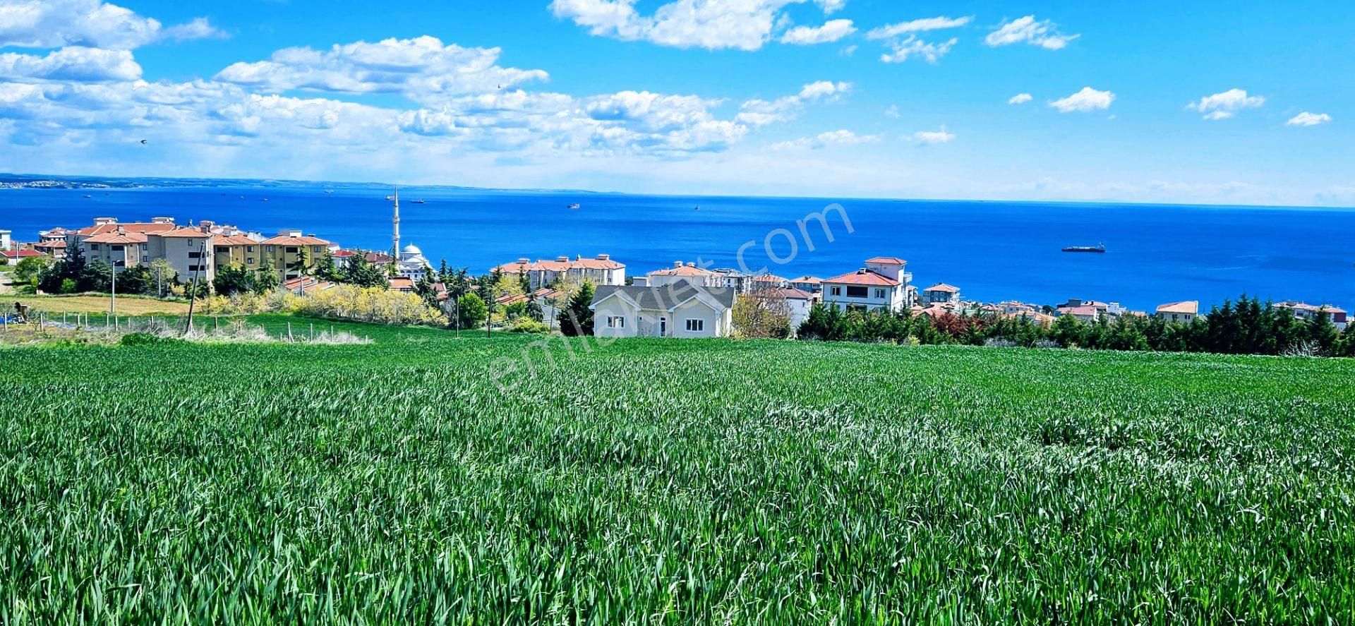 Tamamen Full Deniz Doğa Ve Şehir Manzaralı 44 Dairelik Kooparetif Ve Site Projesine Uygun Arsa - Görsel 14