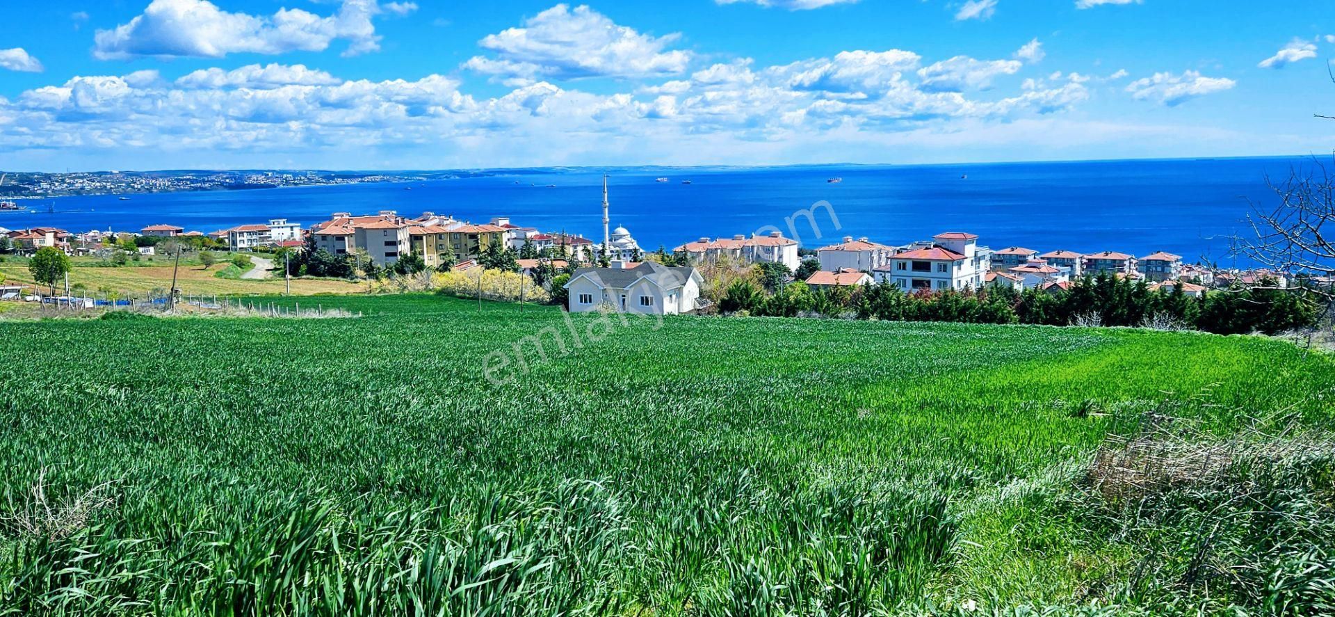 Tamamen Full Deniz Doğa Ve Şehir Manzaralı 44 Dairelik Kooparetif Ve Site Projesine Uygun Arsa - Görsel 7