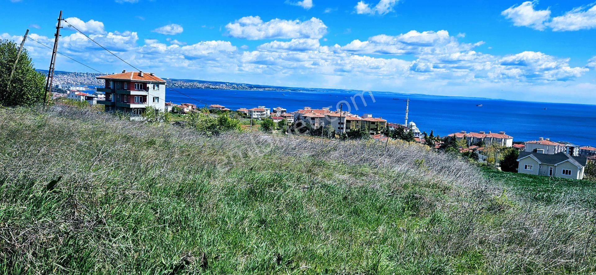 Tamamen Full Deniz Doğa Ve Şehir Manzaralı 44 Dairelik Kooparetif Ve Site Projesine Uygun Arsa - Görsel 19