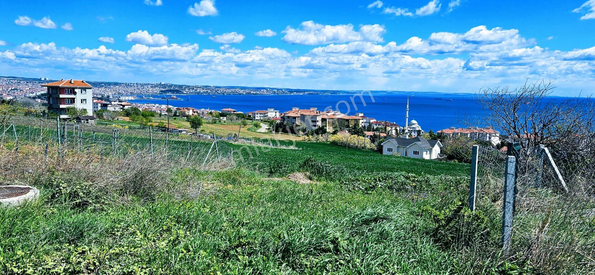 Tamamen Full Deniz Doğa Ve Şehir Manzaralı 44 Dairelik Kooparetif Ve Site Projesine Uygun Arsa - Görsel 12