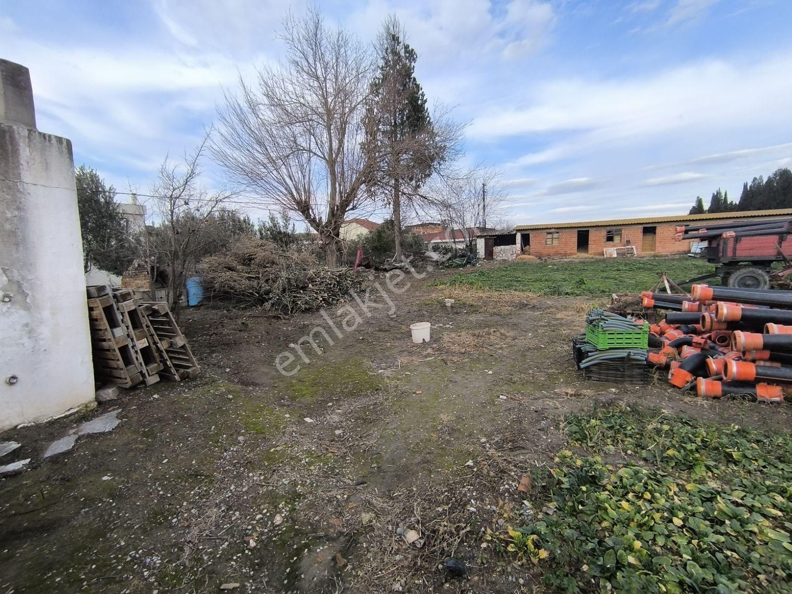 Manisa Saruhanlı Mütevelli 550m2 Arsalı Köy Evi 2.100.000tl - Görsel 9