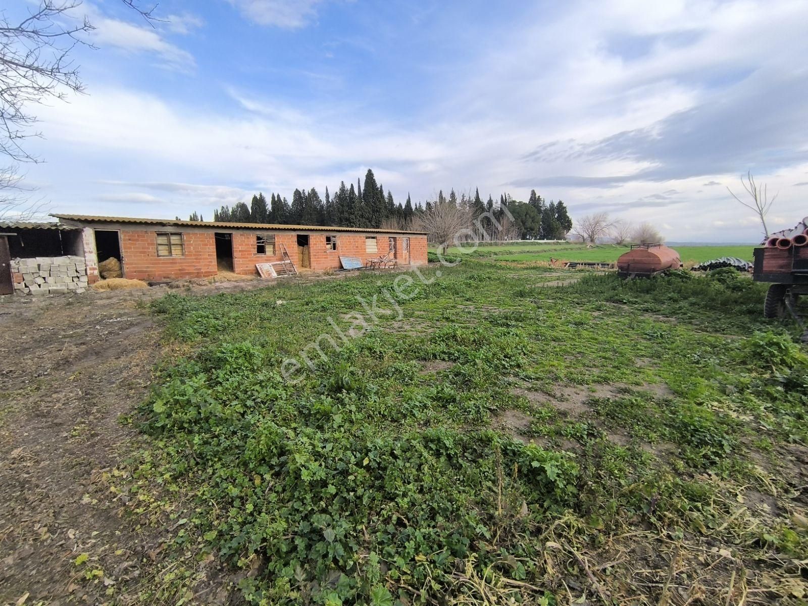 Manisa Saruhanlı Mütevelli 550m2 Arsalı Köy Evi 2.100.000tl - Görsel 6