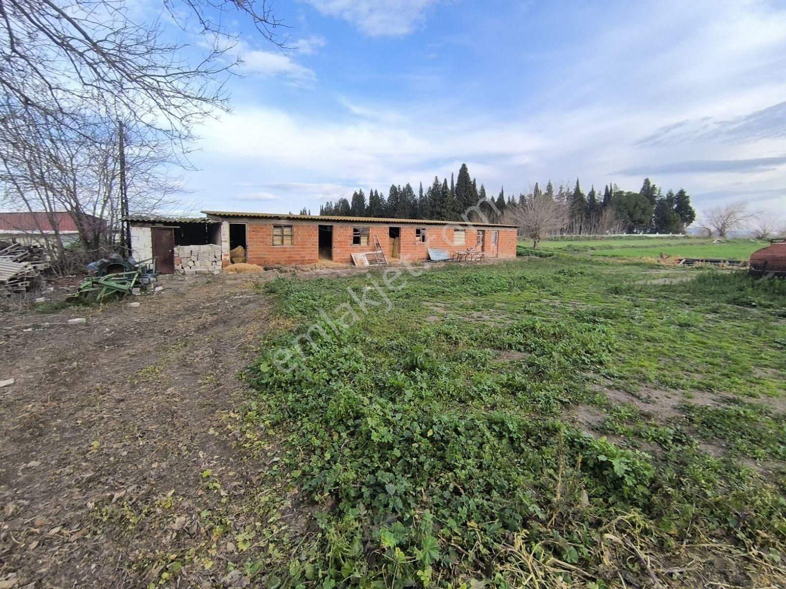 Manisa Saruhanlı Mütevelli 550m2 Arsalı Köy Evi 2.100.000tl - Görsel 21