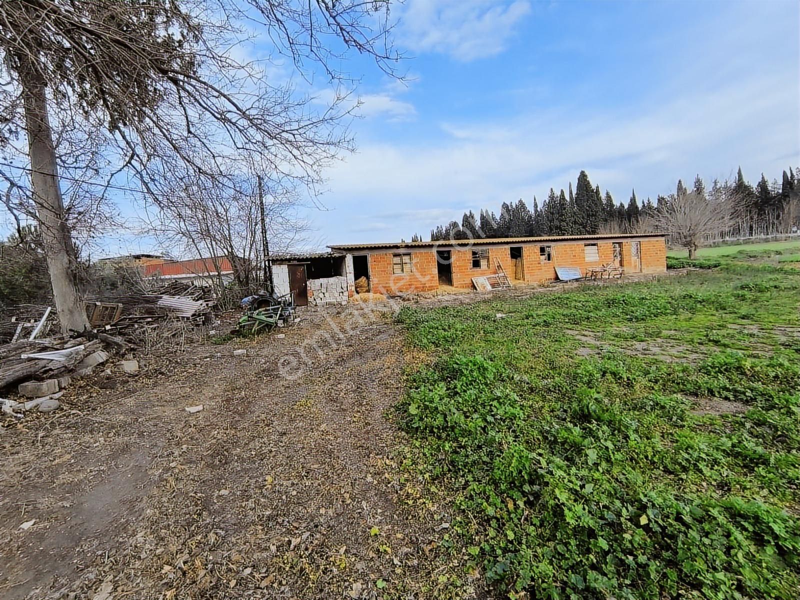 Manisa Saruhanlı Mütevelli 550m2 Arsalı Köy Evi 2.100.000tl - Görsel 14