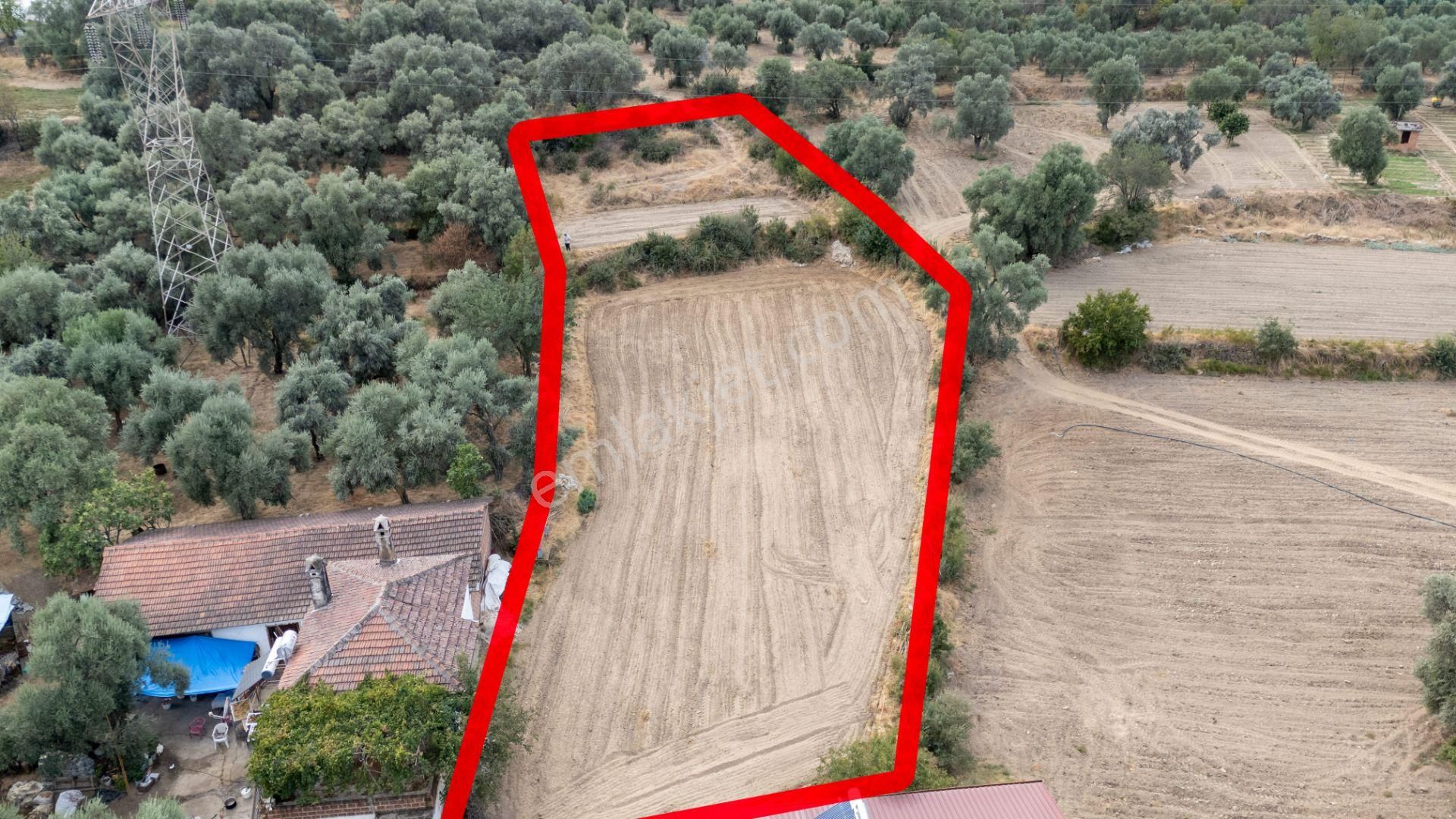 Aydın Bozdoğan Kakkalan Mahallesinde Satılık 2.5 Dönüm Tarla - Görsel 4