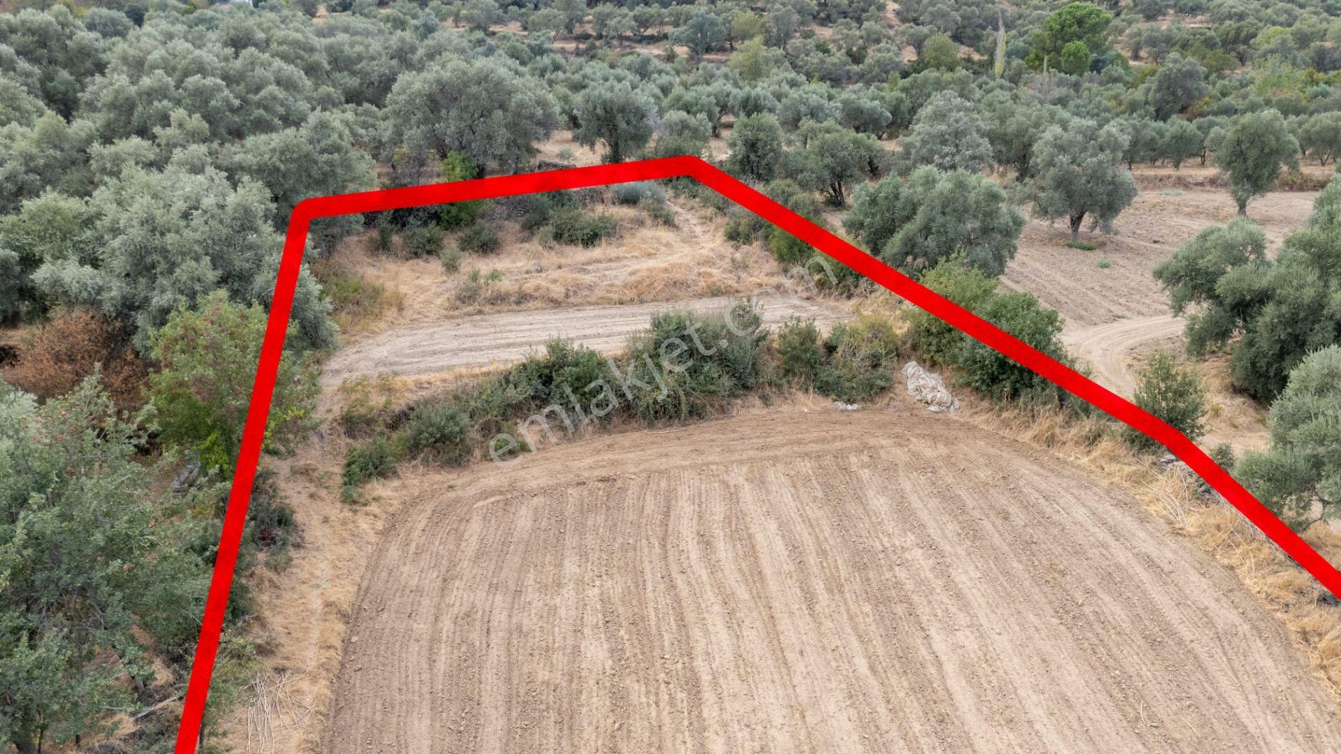 Aydın Bozdoğan Kakkalan Mahallesinde Satılık 2.5 Dönüm Tarla - Görsel 2
