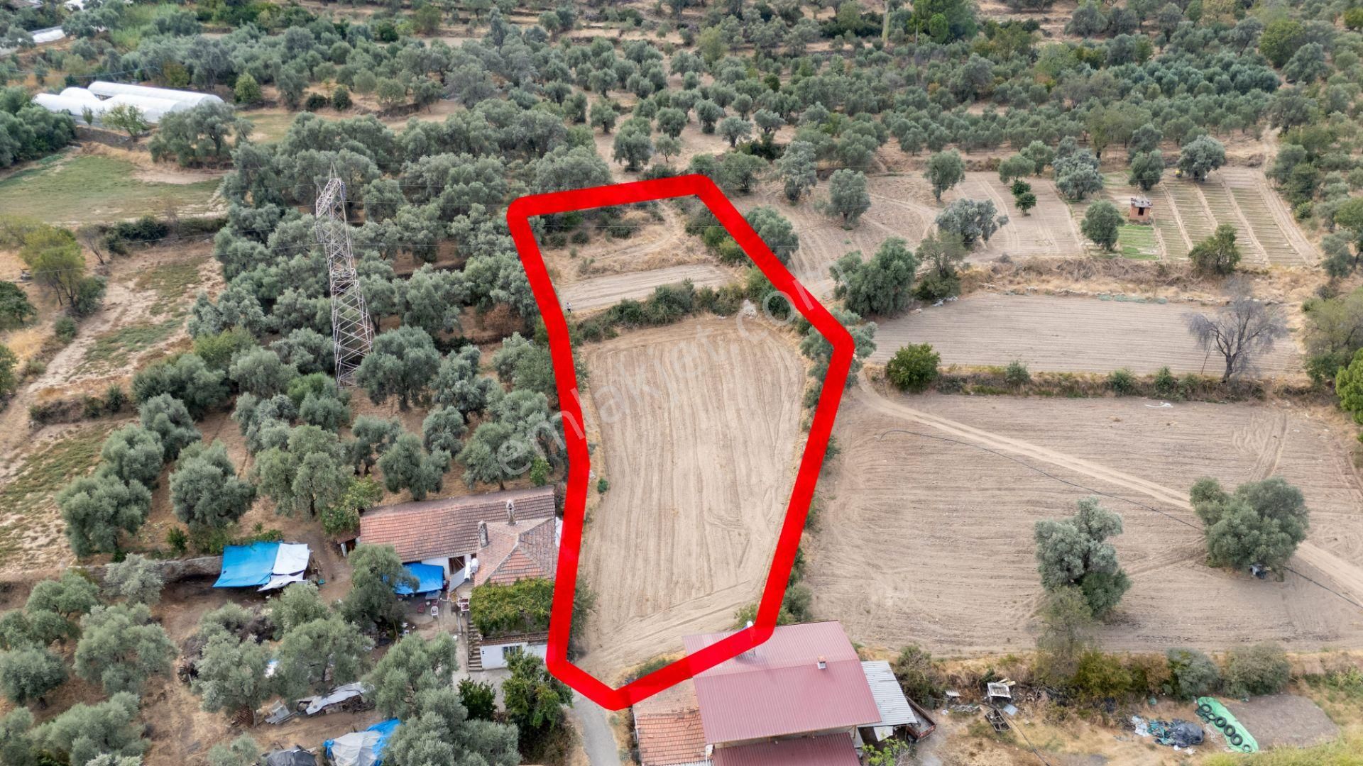Aydın Bozdoğan Kakkalan Mahallesinde Satılık 2.5 Dönüm Tarla - Görsel 3