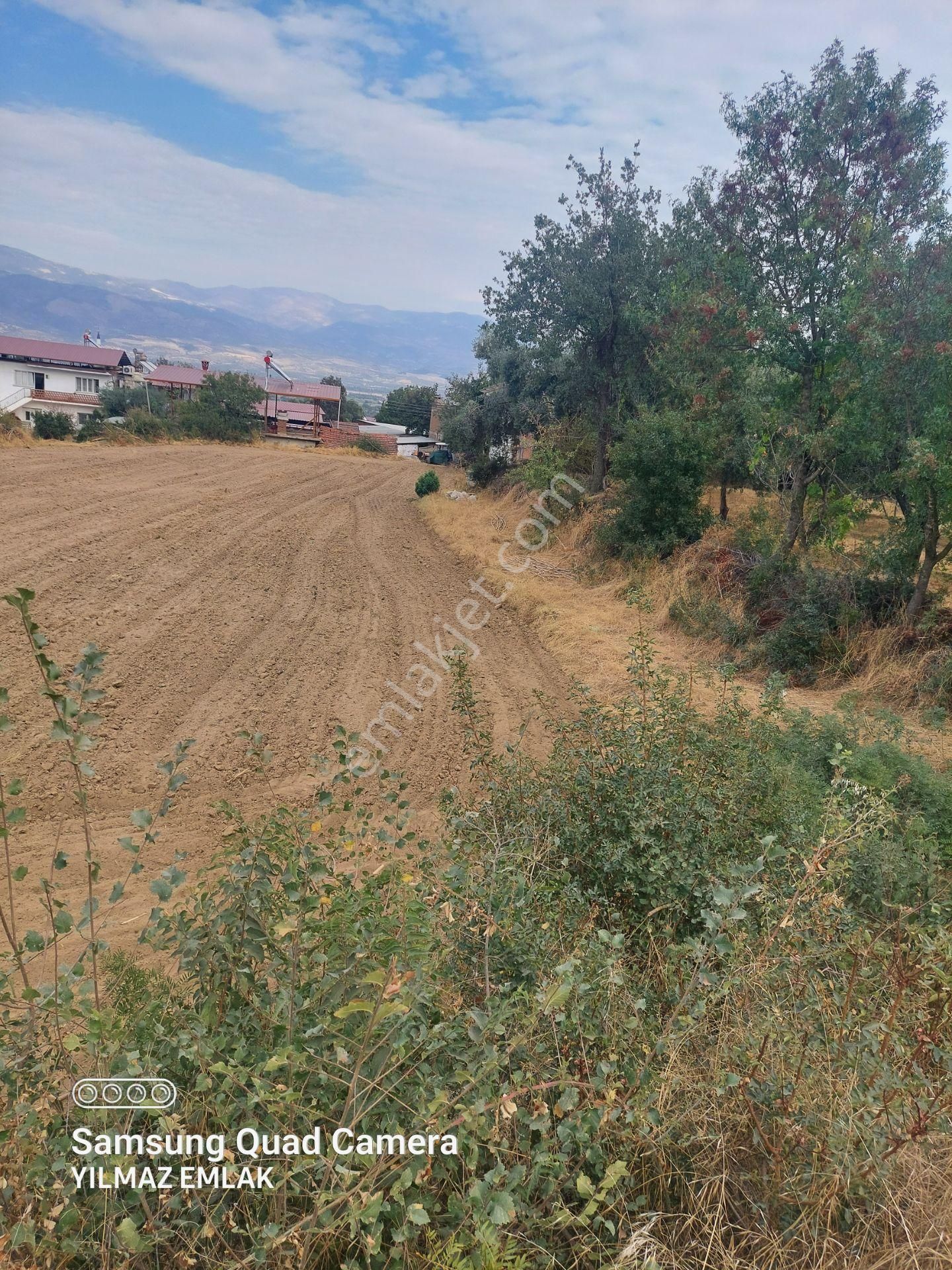 Aydın Bozdoğan Kakkalan Mahallesinde Satılık 2.5 Dönüm Tarla - Görsel 13