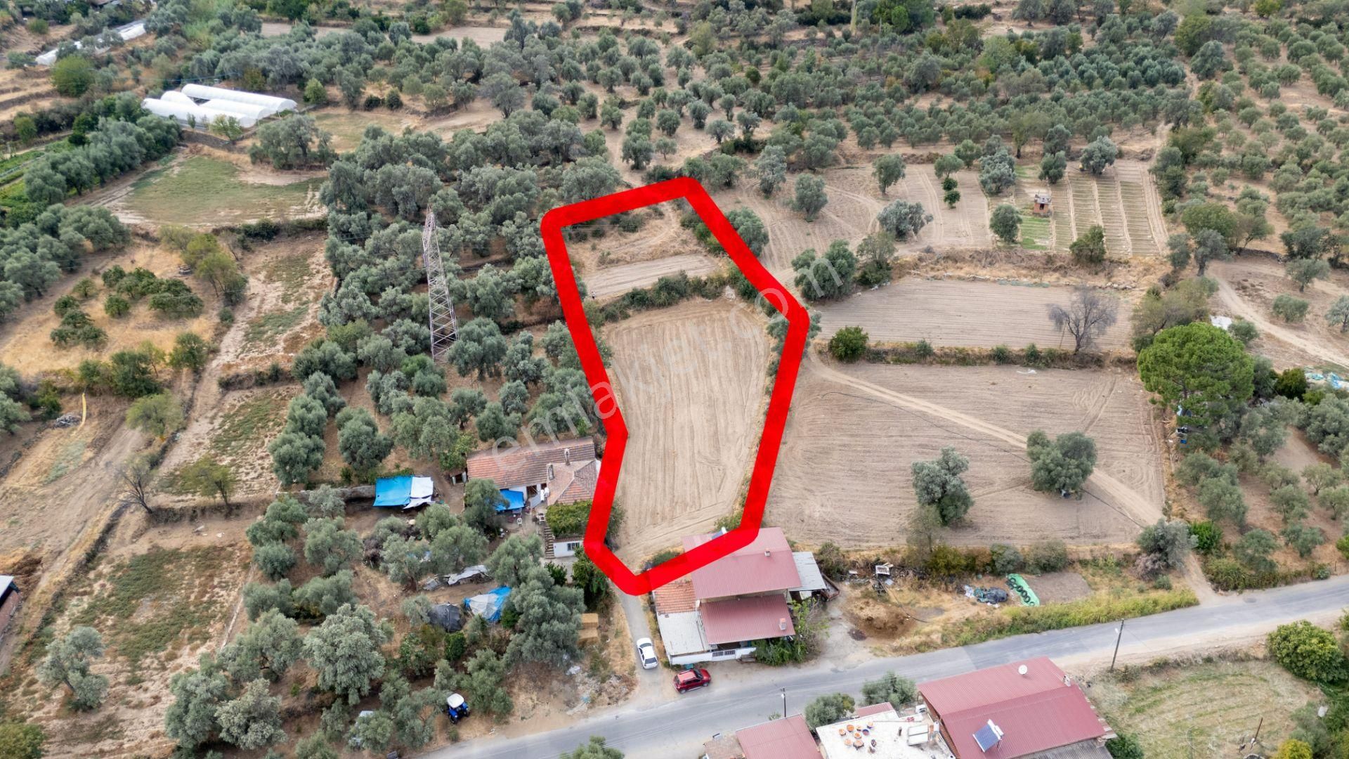 Aydın Bozdoğan Kakkalan Mahallesinde Satılık 2.5 Dönüm Tarla
