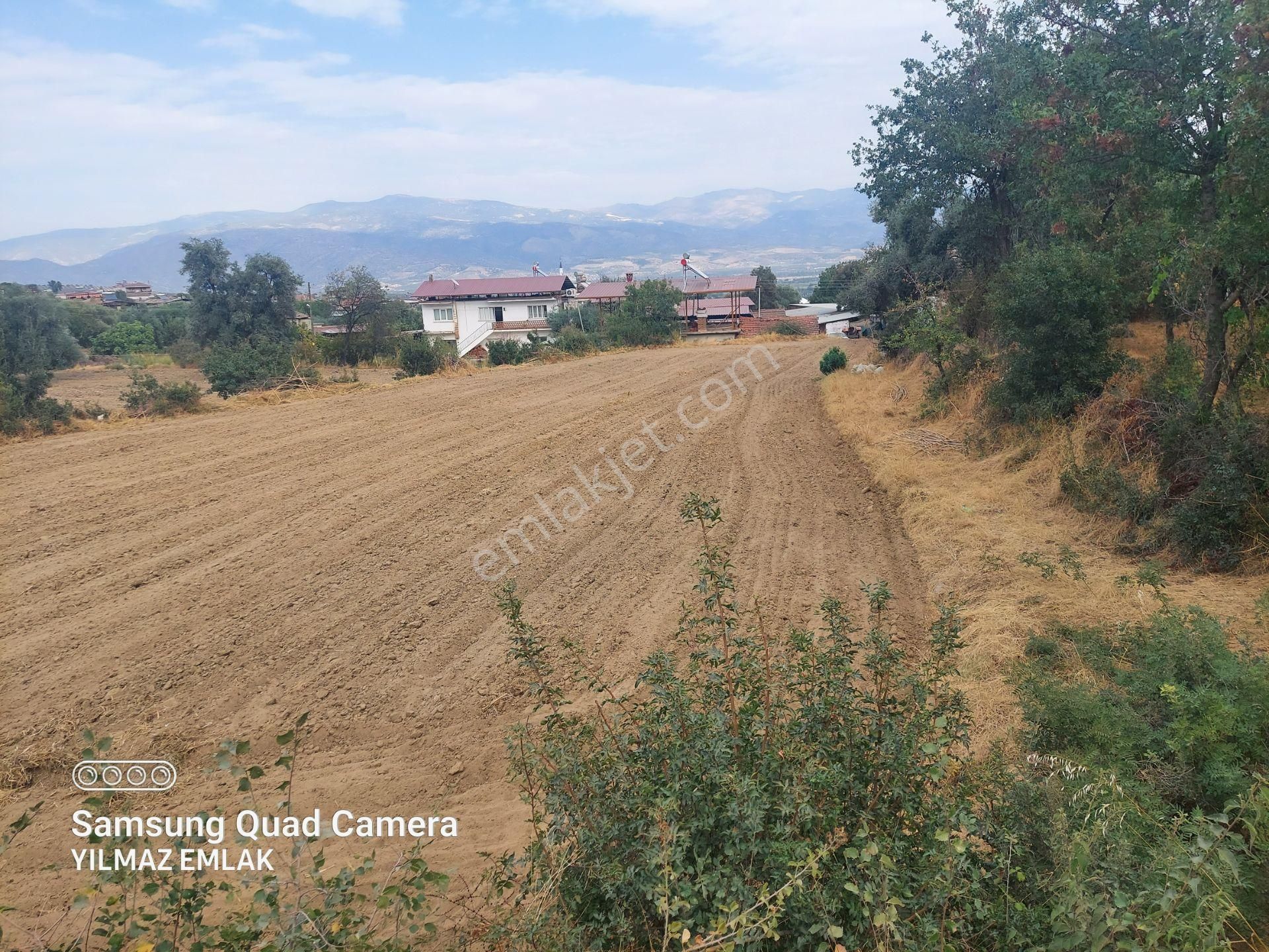Aydın Bozdoğan Kakkalan Mahallesinde Satılık 2.5 Dönüm Tarla - Görsel 10