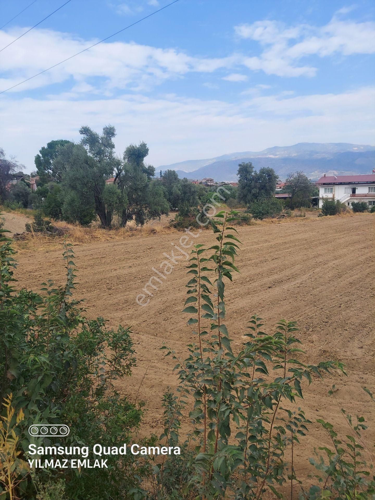 Aydın Bozdoğan Kakkalan Mahallesinde Satılık 2.5 Dönüm Tarla - Görsel 14