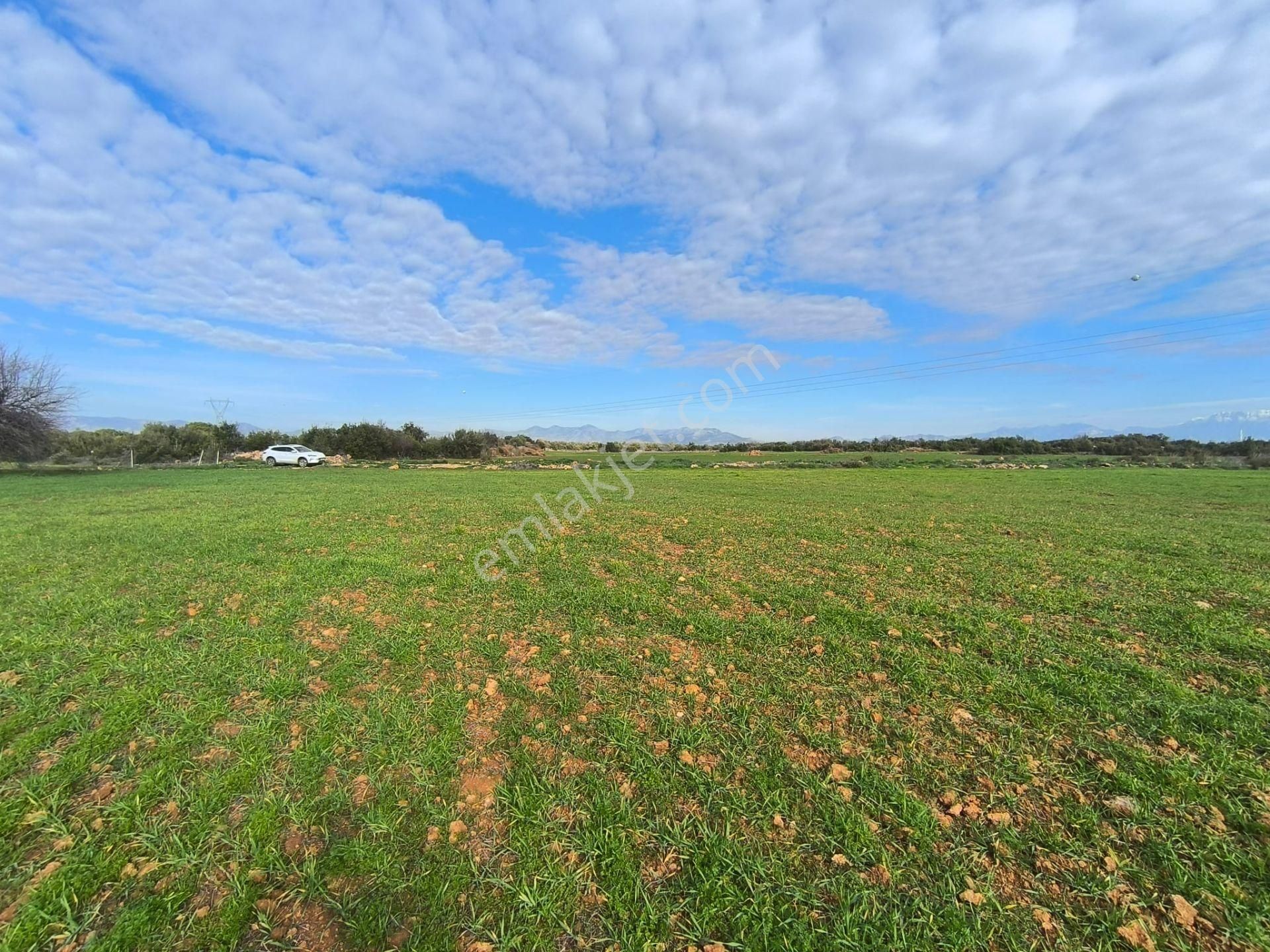 Kepez Odabaşında Imara Yakın Rıza I Taksım Yapılmış Tarla - Görsel 7
