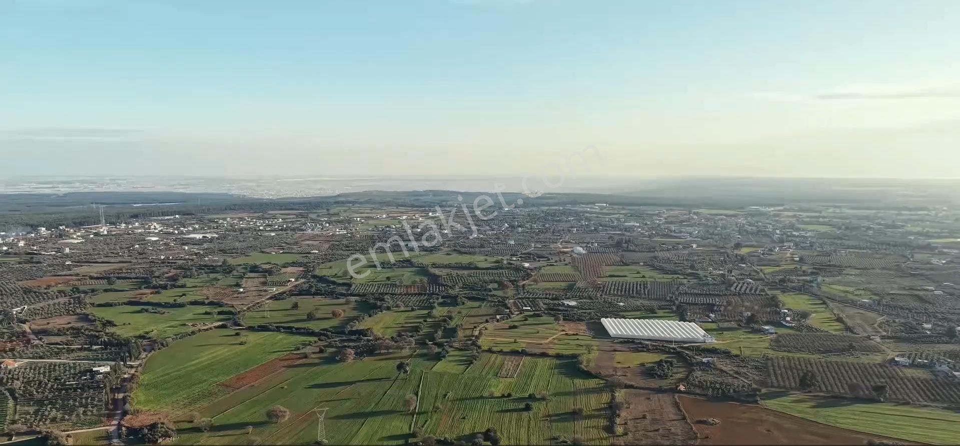Kepez Odabaşında Imara Yakın Rıza I Taksım Yapılmış Tarla - Görsel 3