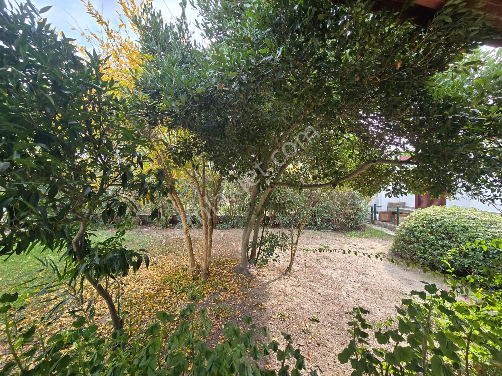 Milas Çamköy'de Manzaralı Yatırımlık Satılık Arazi