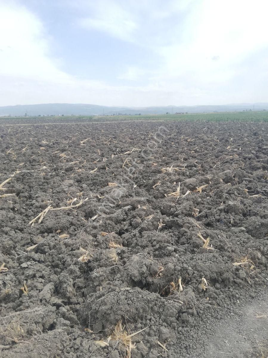 Yukarıkırıklar Ovasında Düz Verimli Tarla - Görsel 13