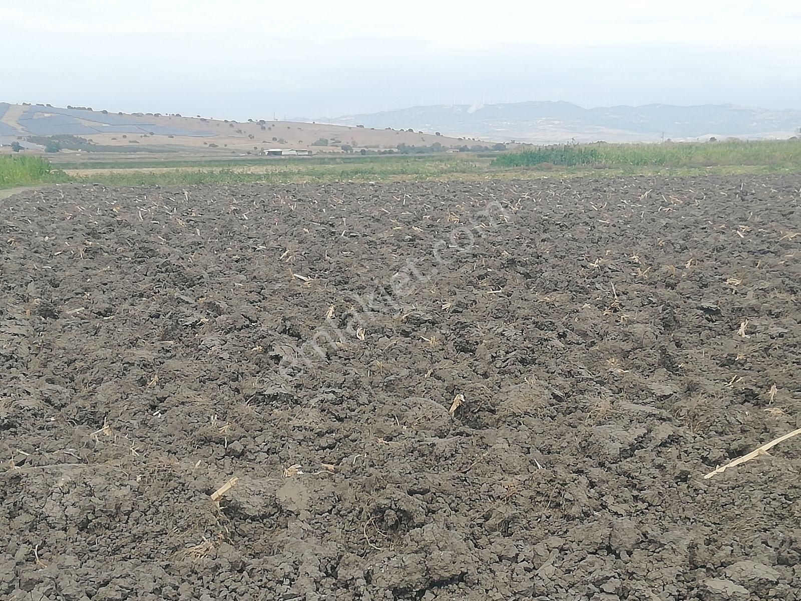 Yukarıkırıklar Ovasında Düz Verimli Tarla - Görsel 4