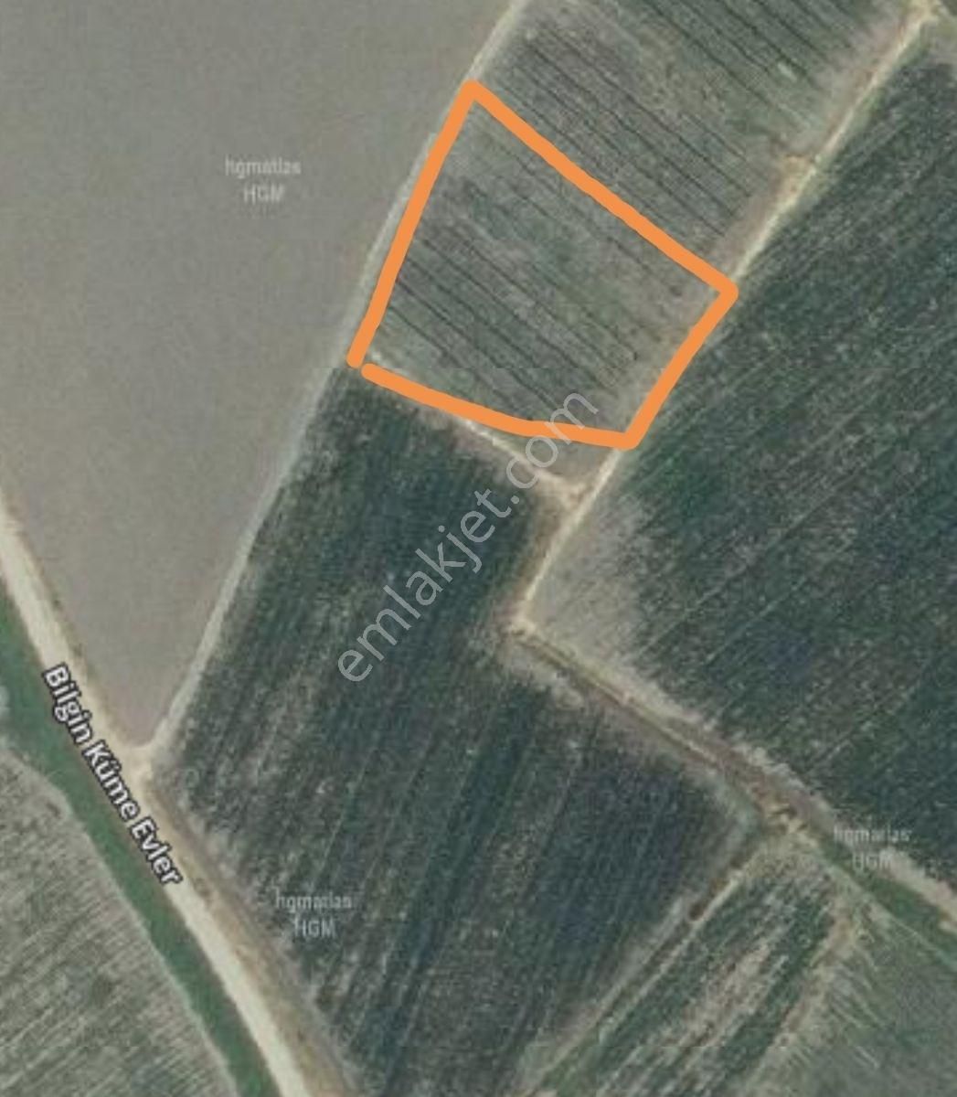 Yukarıkırıklar Ovasında Düz Verimli Tarla - Görsel 5