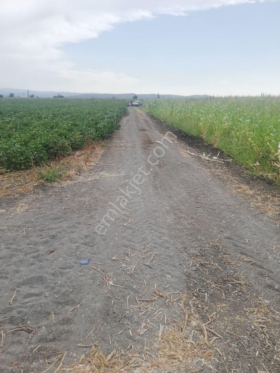 Yukarıkırıklar Ovasında Düz Verimli Tarla - Görsel 2