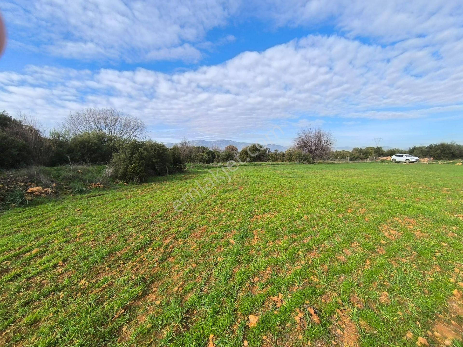 Antalya Kepez Odabaşı Nda Rızaı Taksım Yapılmış Tarla - Görsel 4
