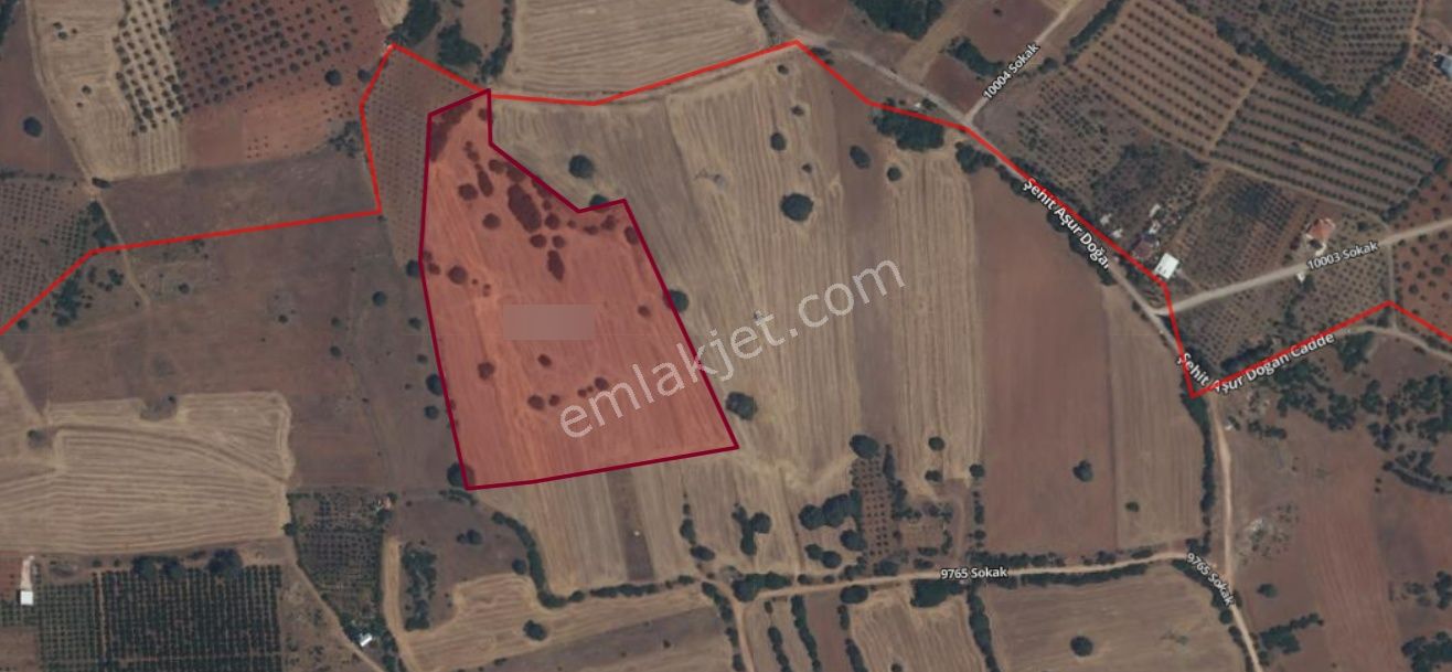 Antalya Kepez Odabaşı Nda Rızaı Taksım Yapılmış Tarla - Görsel 10