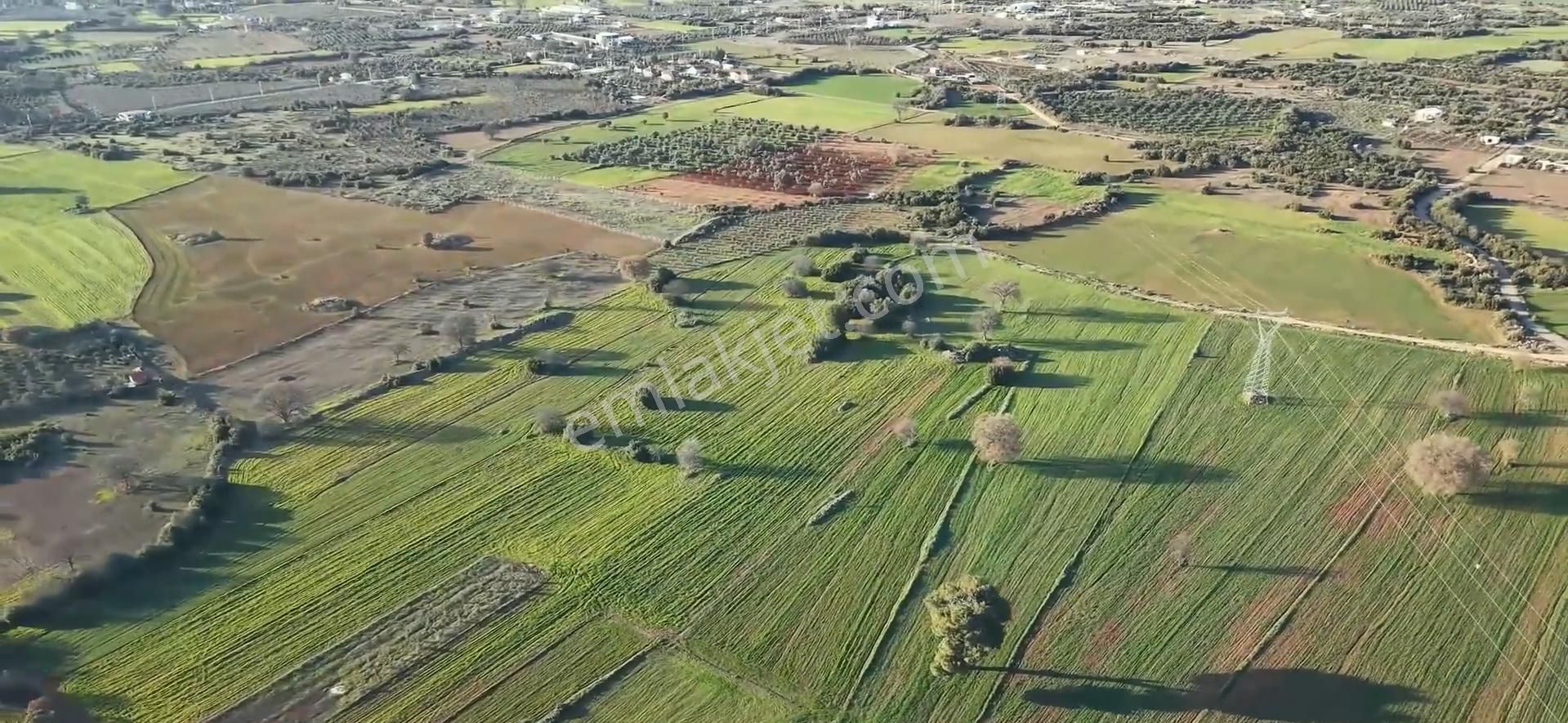 Antalya Kepez Odabaşı Nda Rızaı Taksım Yapılmış Tarla - Görsel 3