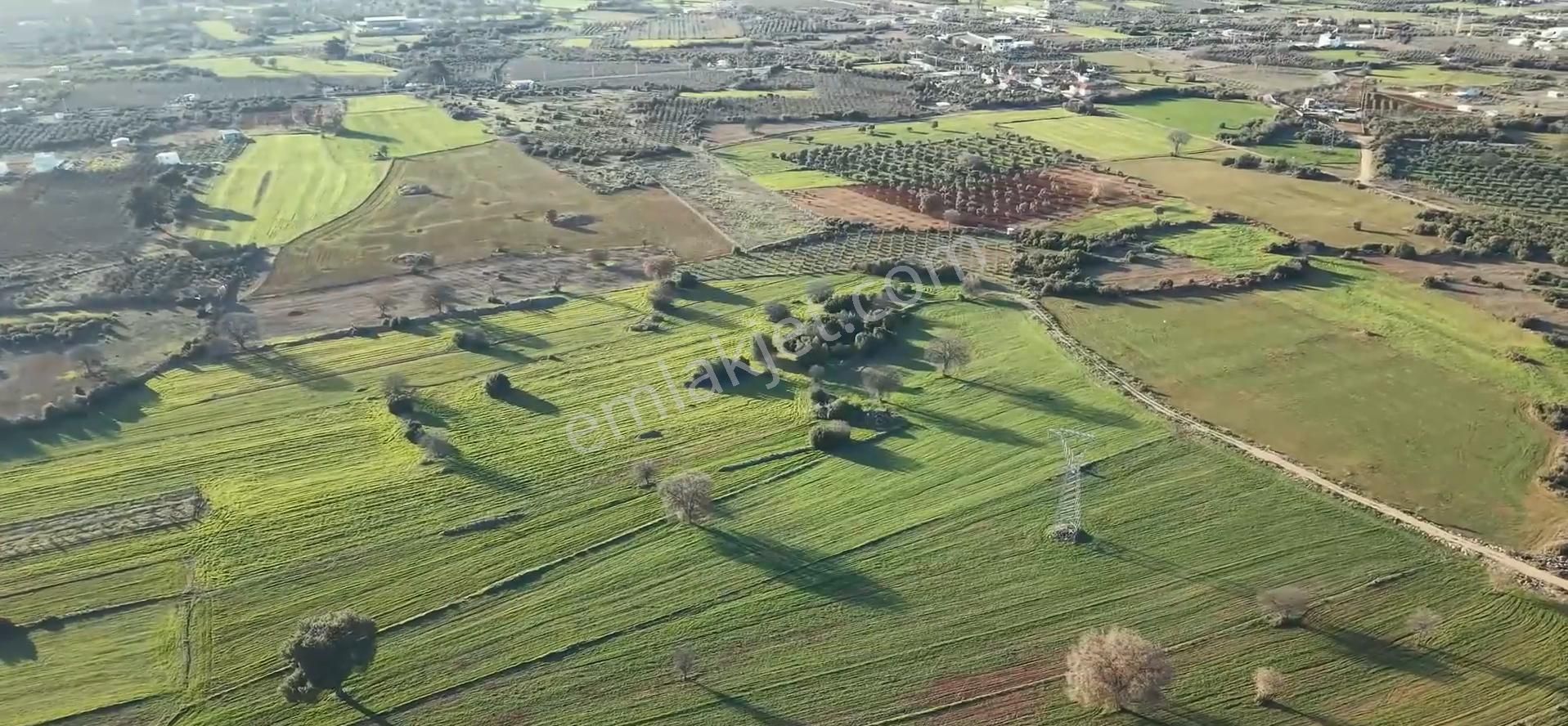 Antalya Kepez Odabaşı Nda Rızaı Taksım Yapılmış Tarla - Görsel 3