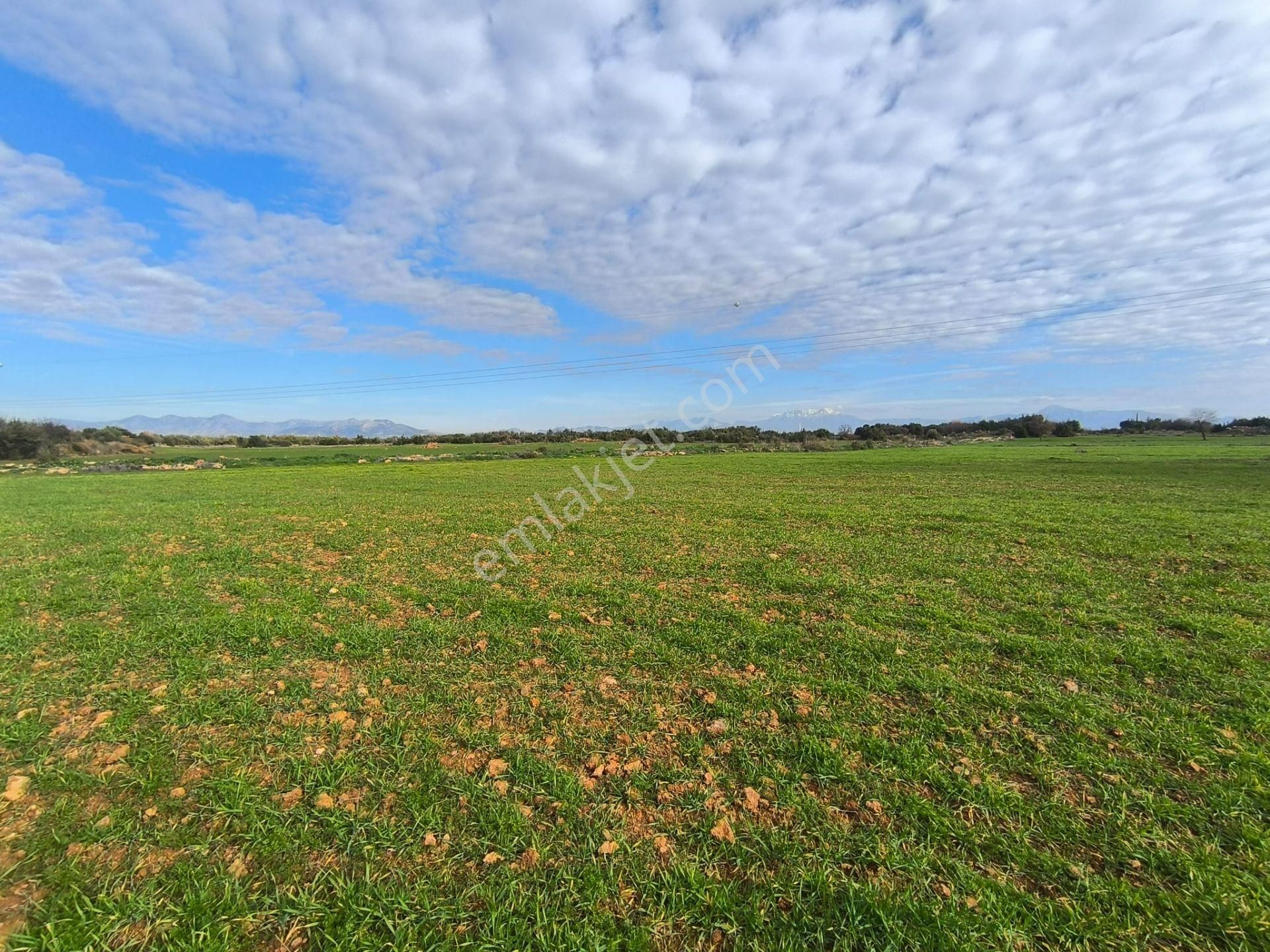 Antalya Kepez Odabaşı Nda Rızaı Taksım Yapılmış Tarla - Görsel 6