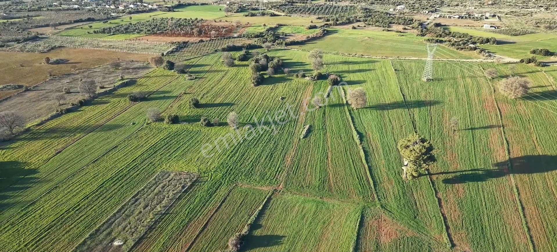 Antalya Kepez Odabaşı Nda Rızaı Taksım Yapılmış Tarla - Görsel 3