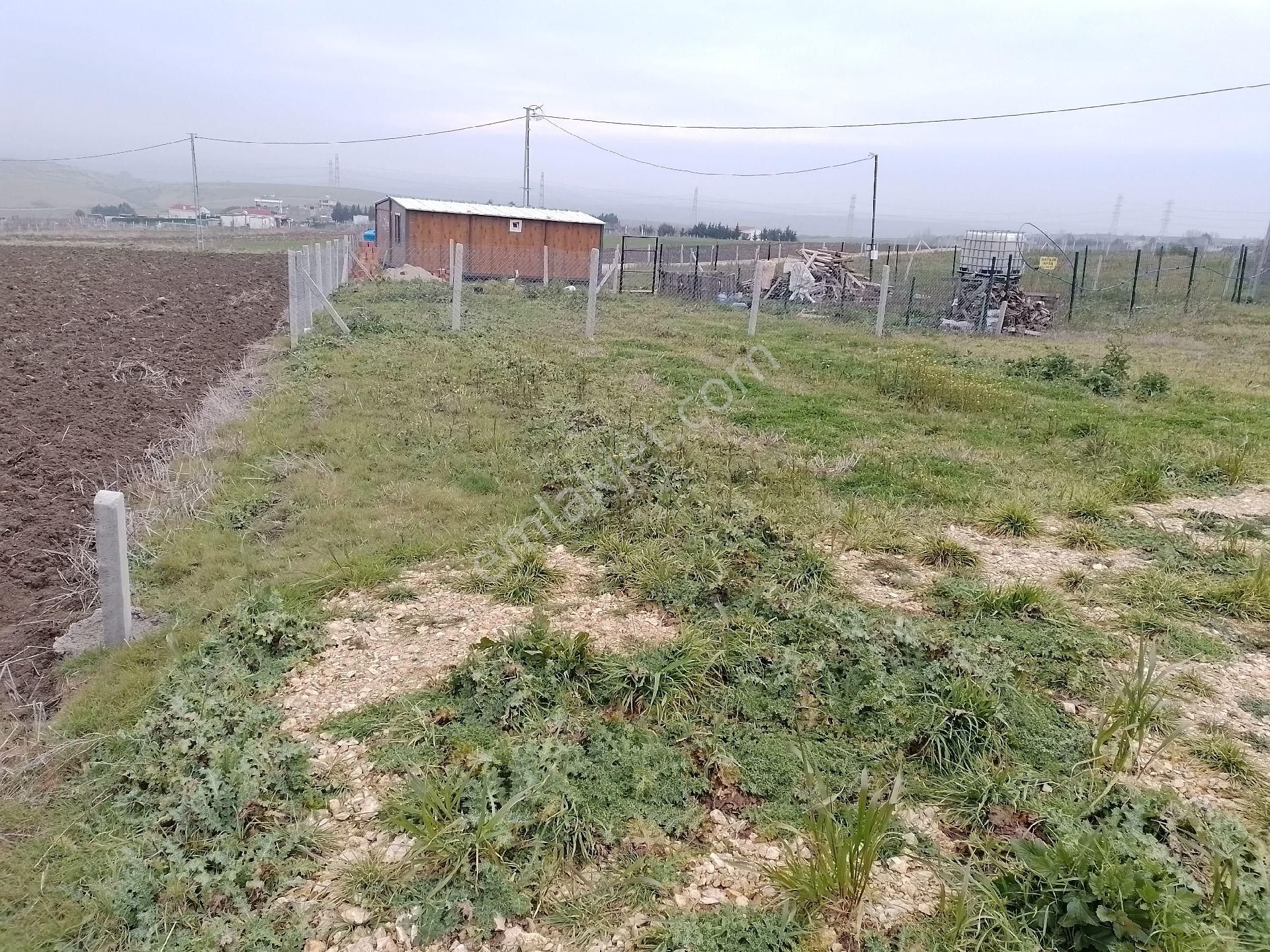 Acil Nakit Satilik - Görsel 4