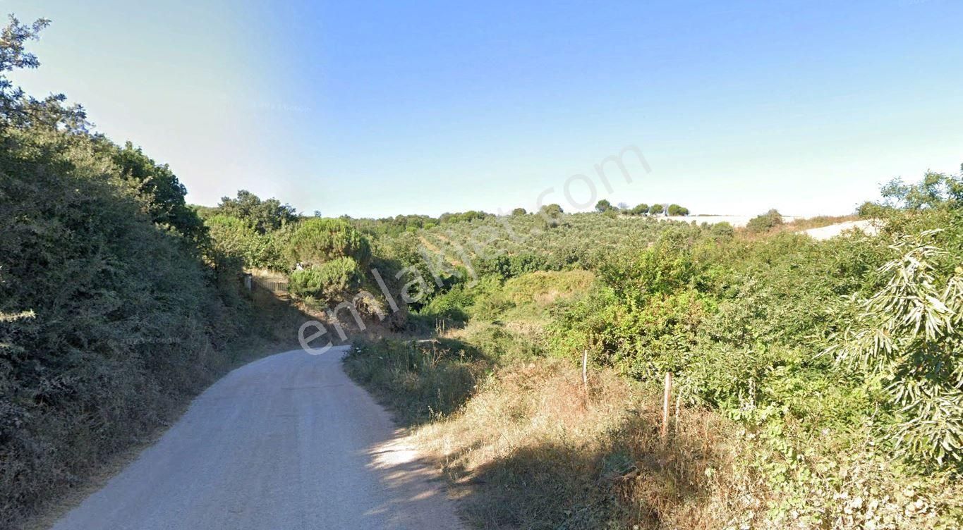 Bandırma Çakılköy'de 27,512 M2 Satılık Arazi - Görsel 5