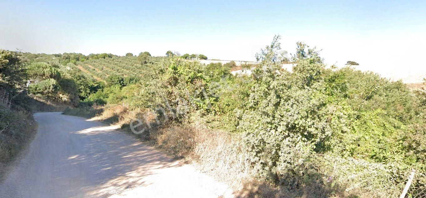 Bandırma Çakılköy'de 27,512 M2 Satılık Arazi - Görsel 3