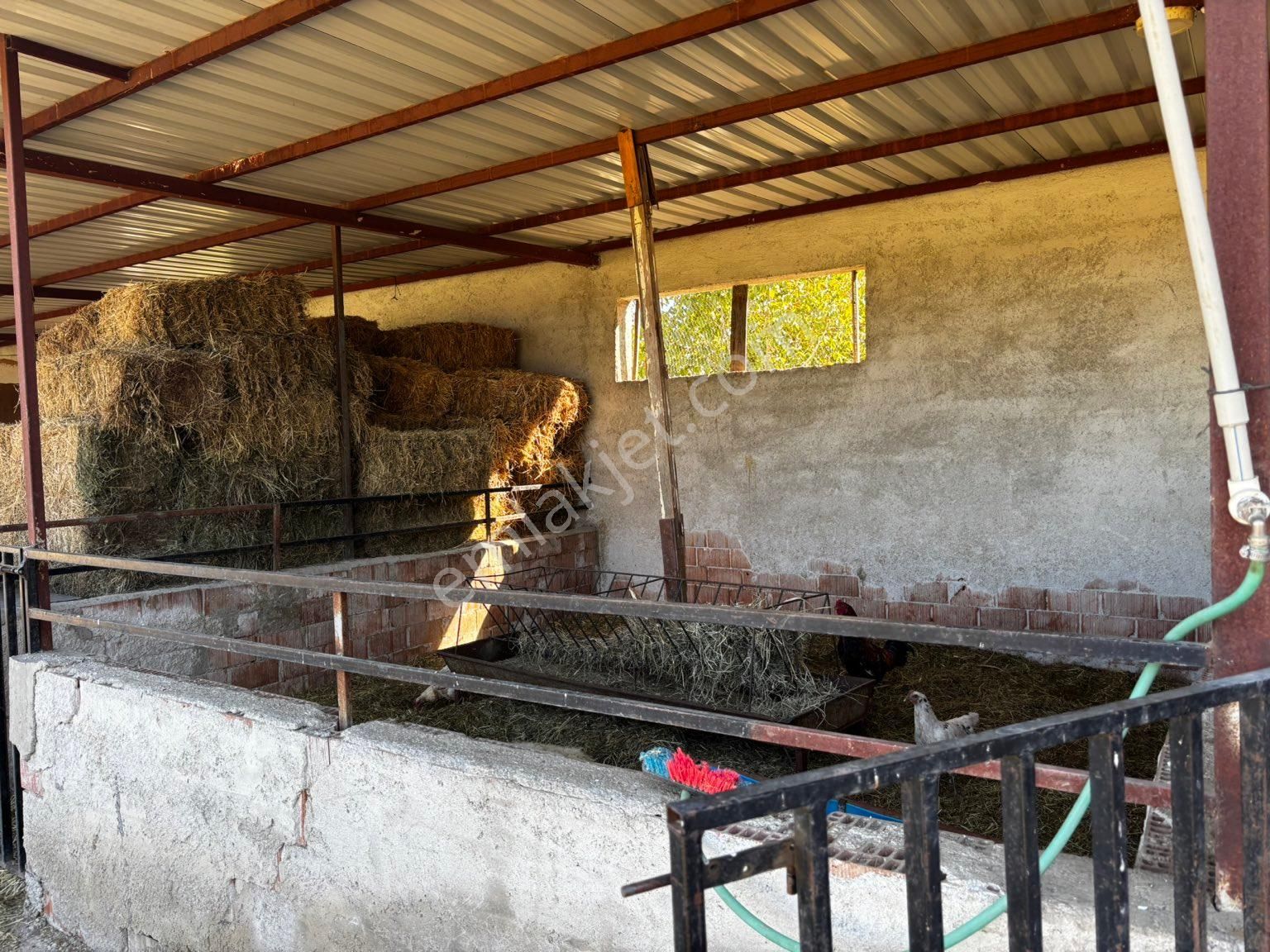 Bozdoğan Osmaniye Mahallesinde Satılık Müstakil Ev Ve Bahçesi - Görsel 33