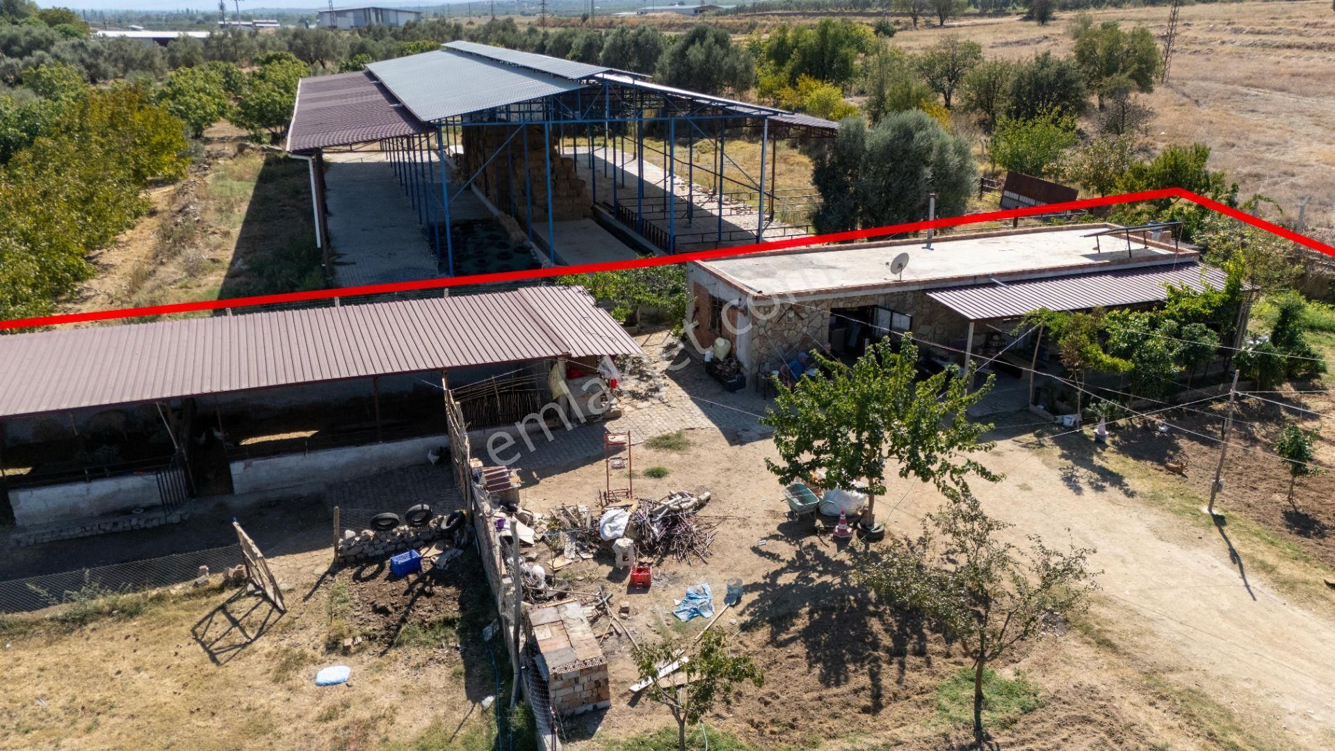 Bozdoğan Osmaniye Mahallesinde Satılık Müstakil Ev Ve Bahçesi - Görsel 8