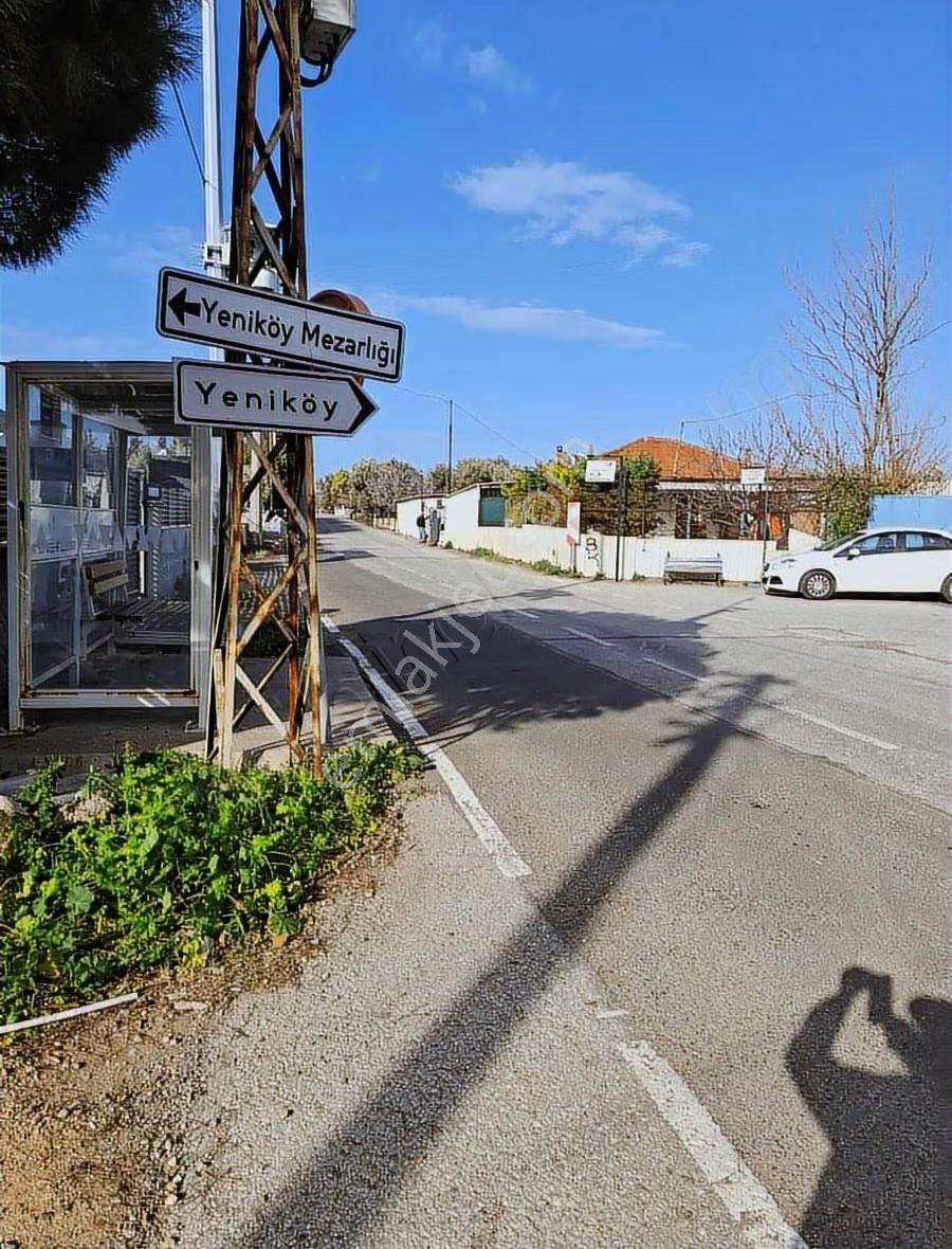 Foça Yeniköyde 569 M2 Zeytinlik Satılıktır - Görsel 15