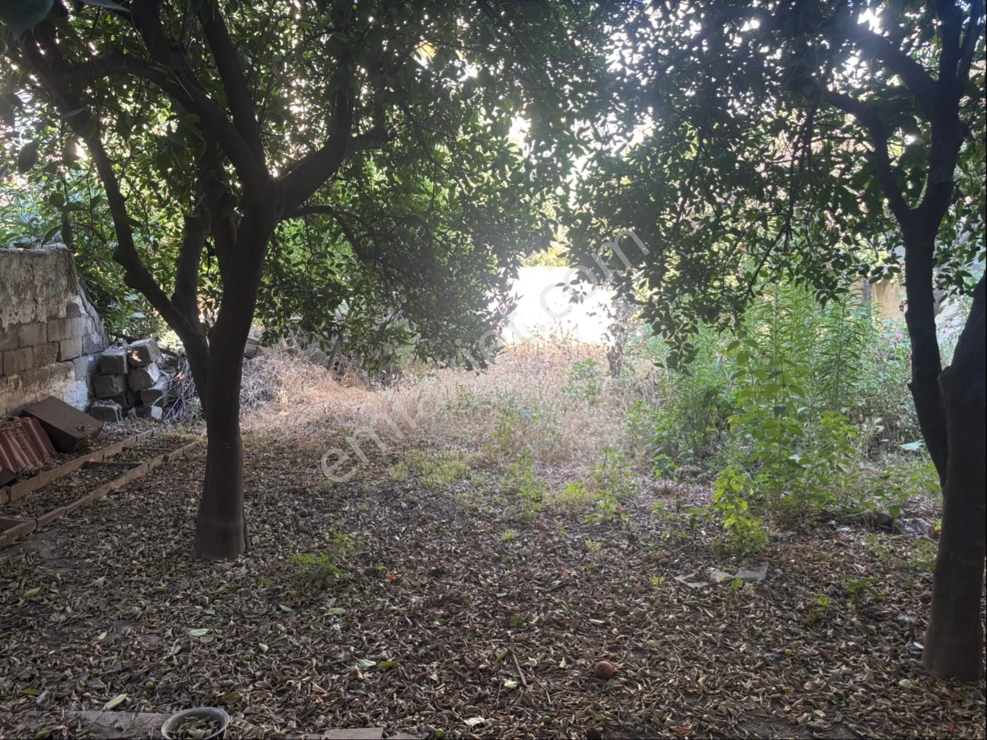 Şirinevler Mahallesinde Satılık 2 Katlı Bahçeli Müstakil Ev - Görsel 33