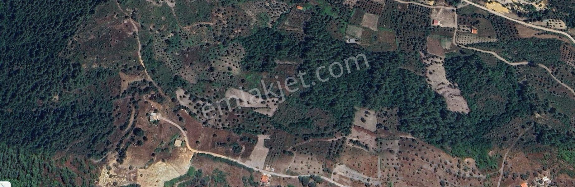 Goldhouse Dan Satılık Tarla Fırsat Muğla Menteşe De 1605m2
