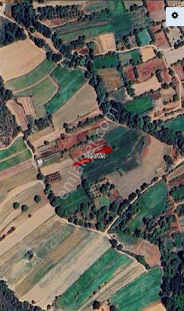 Özlem Emlak'tan Yenişehir İncirli Köyü Yatırımlık Fırsat Tarla ! - Görsel 3