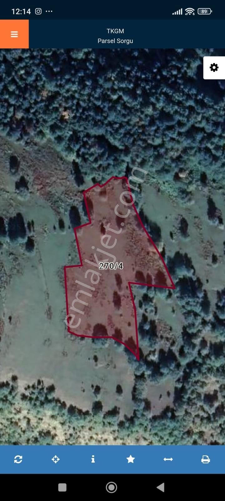 Samsun Alaçam Koşeköy Satılık Tek Tapu Tarla !!! - Görsel 3