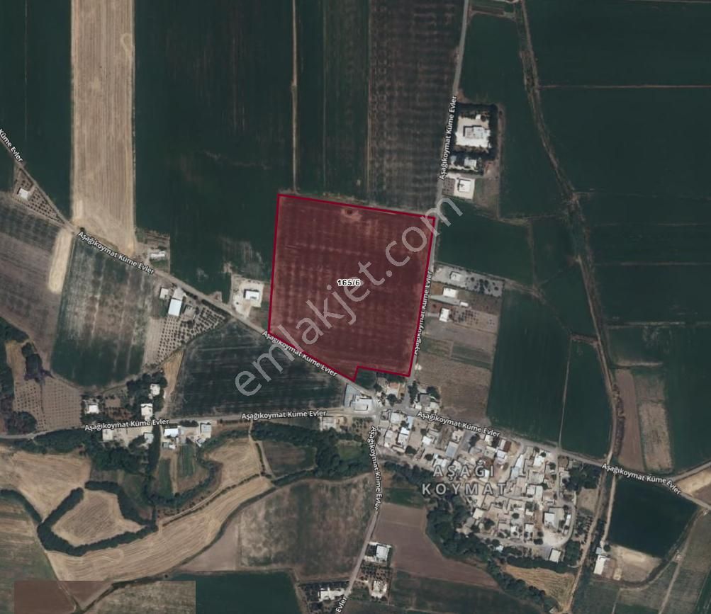 Yaşarsoy Gyo'dan Haliliye Aşağı Koymat'ta 42.526mt Sulu Tarla