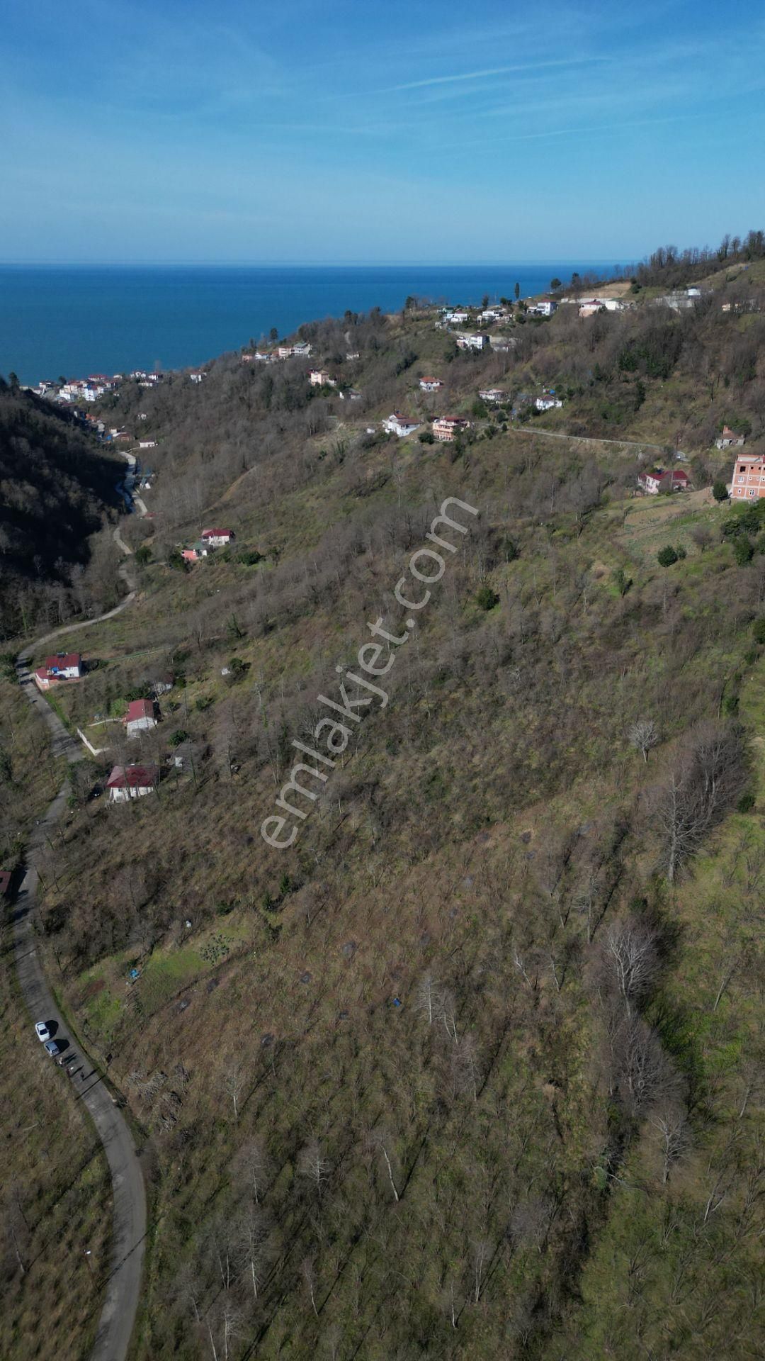 Century 21'den Perşembe Medreseönü'nde 1228 M2 Yatırımlık Bahçe - Görsel 19