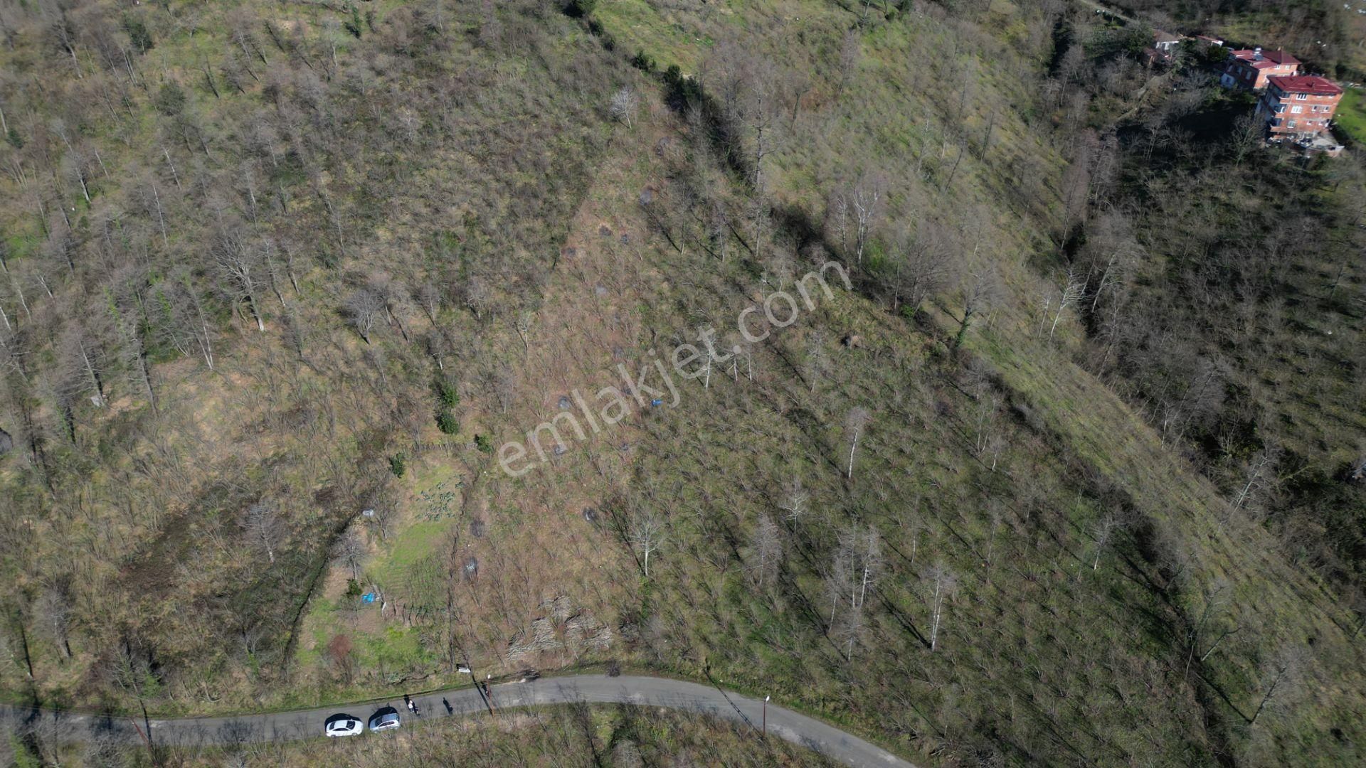 Century 21'den Perşembe Medreseönü'nde 1228 M2 Yatırımlık Bahçe - Görsel 16