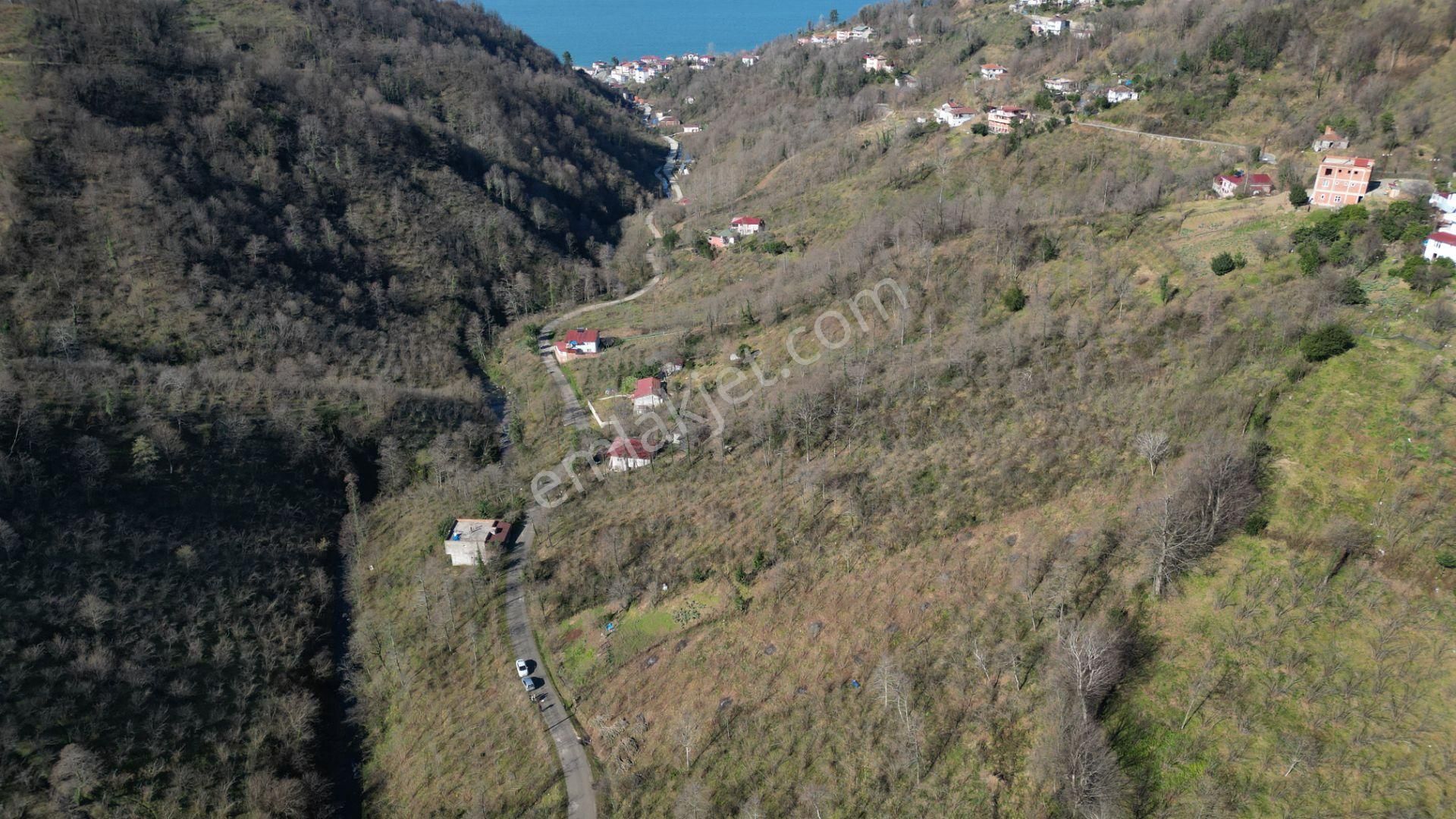 Century 21'den Perşembe Medreseönü'nde 1228 M2 Yatırımlık Bahçe